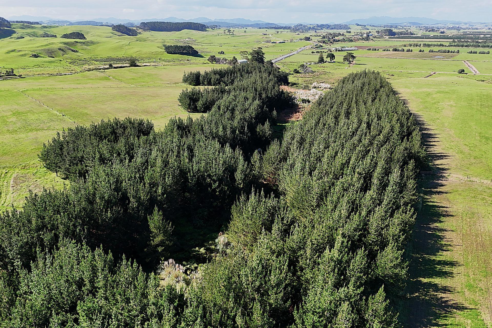 413A Baylys Coast Road, Dargaville