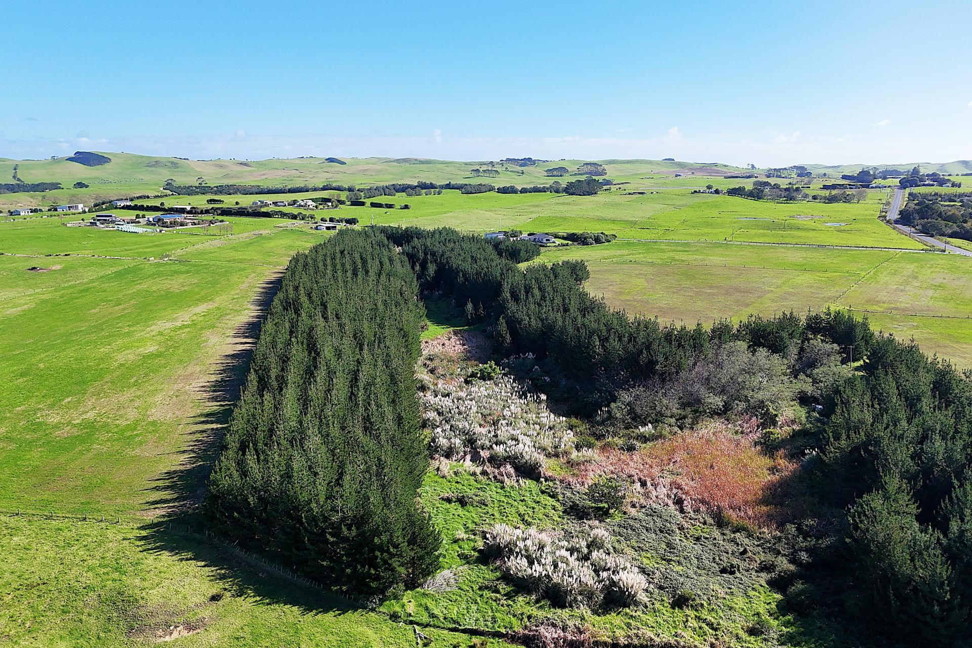 413A Baylys Coast Road, Dargaville