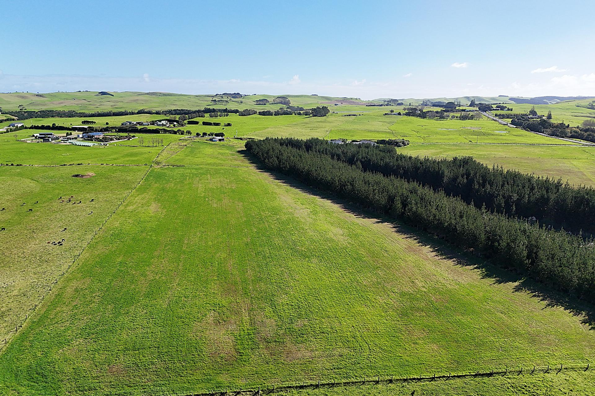 413A Baylys Coast Road, Dargaville