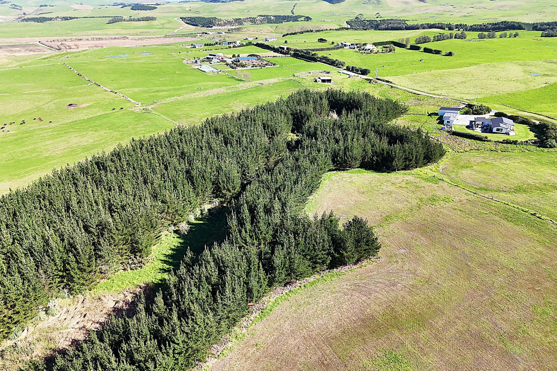 413A Baylys Coast Road, Dargaville