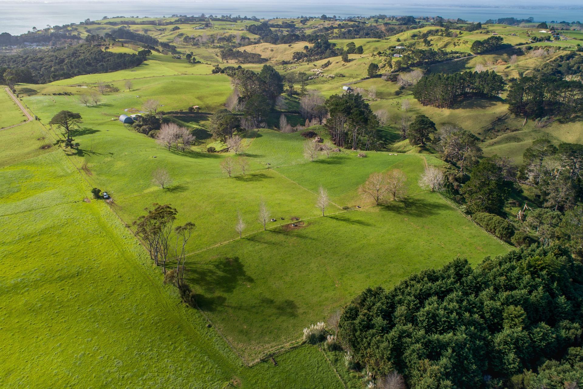 41 Marshall Road, Manukau Heads