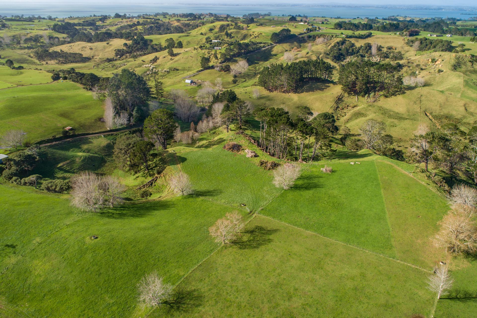 41 Marshall Road, Manukau Heads