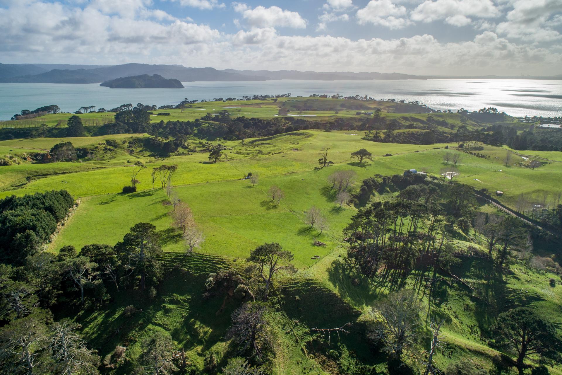 41 Marshall Road, Manukau Heads