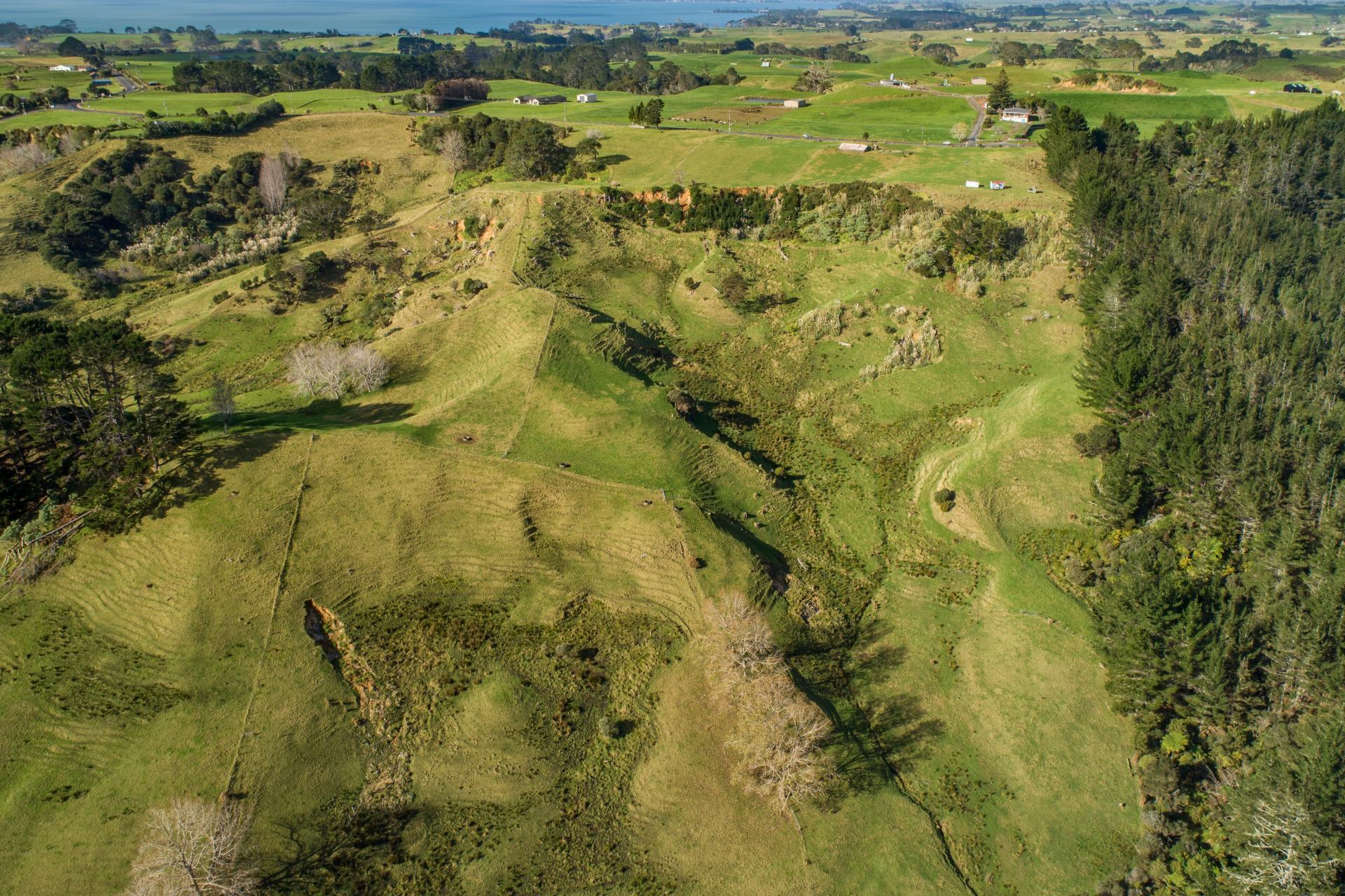 41 Marshall Road, Manukau Heads