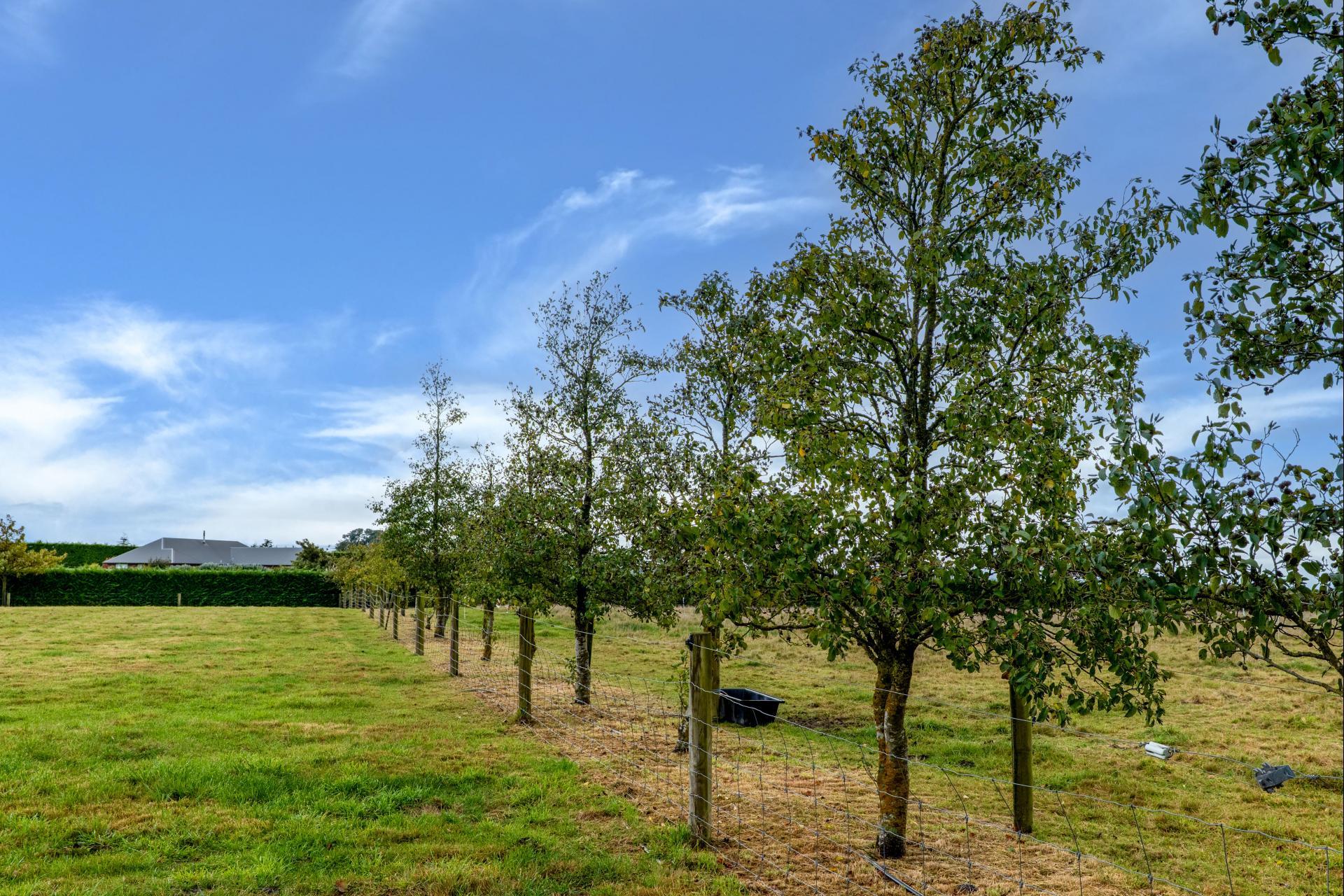 94 Windsor Drive, Kirwee