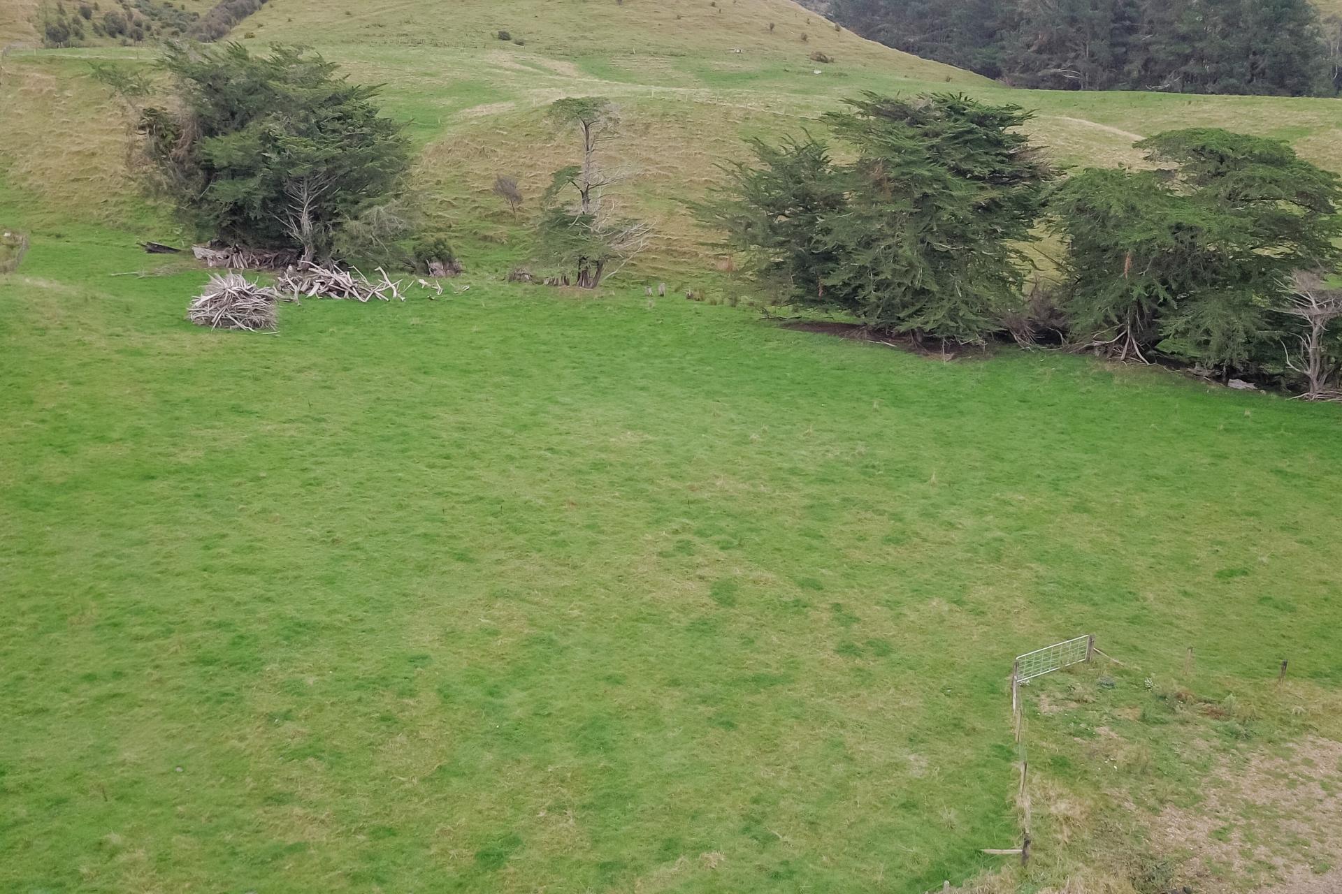 420 Mangaoranga Road, Eketahuna