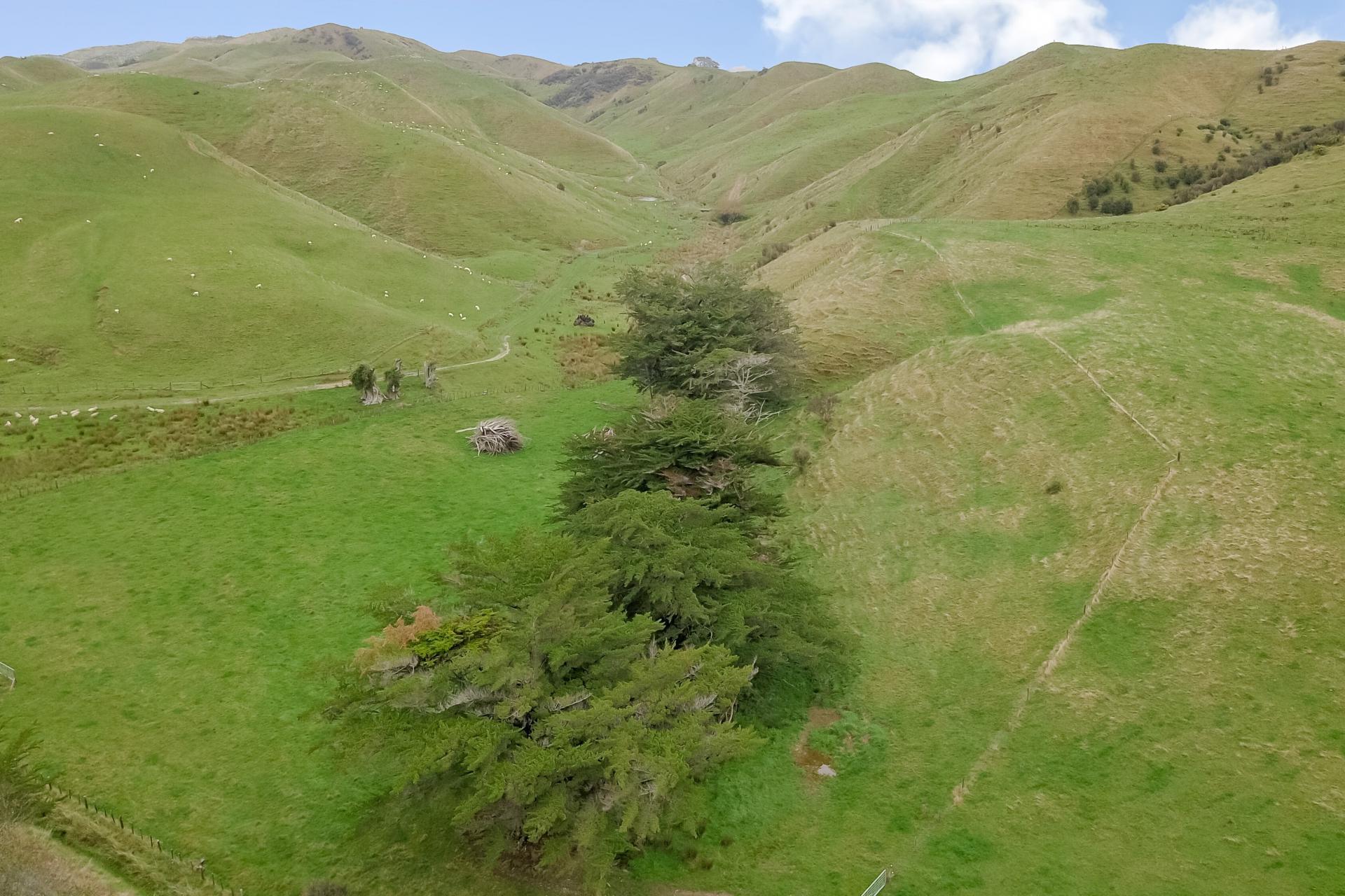 420 Mangaoranga Road, Eketahuna