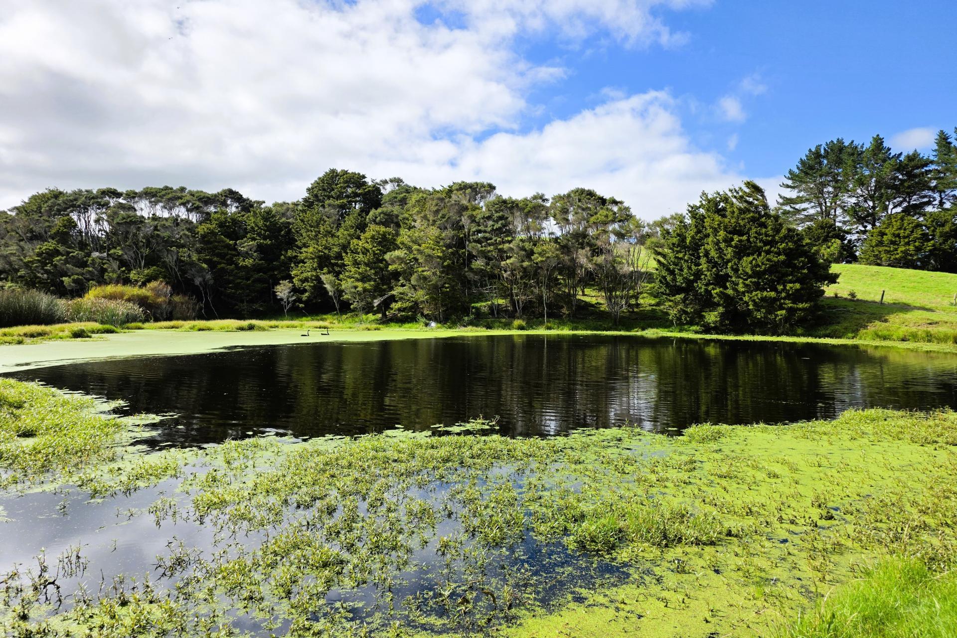 6320 State Highway 12, Dargaville