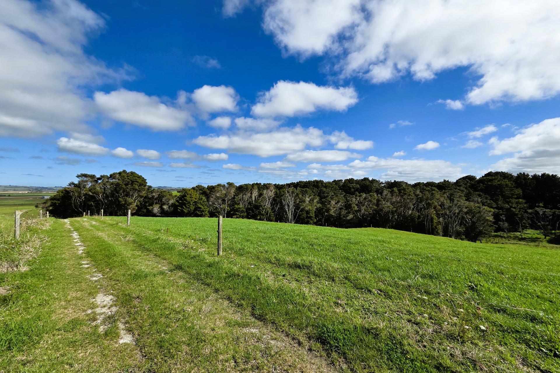 6320 State Highway 12, Dargaville