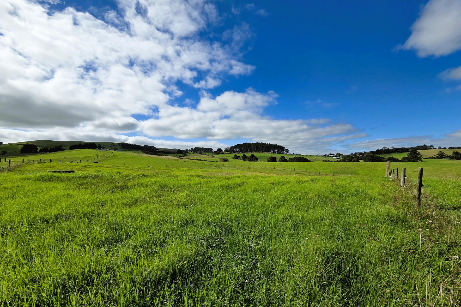 6320 State Highway 12, Dargaville