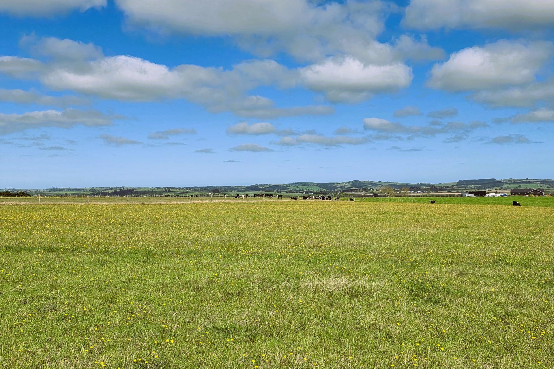 6320 State Highway 12, Dargaville