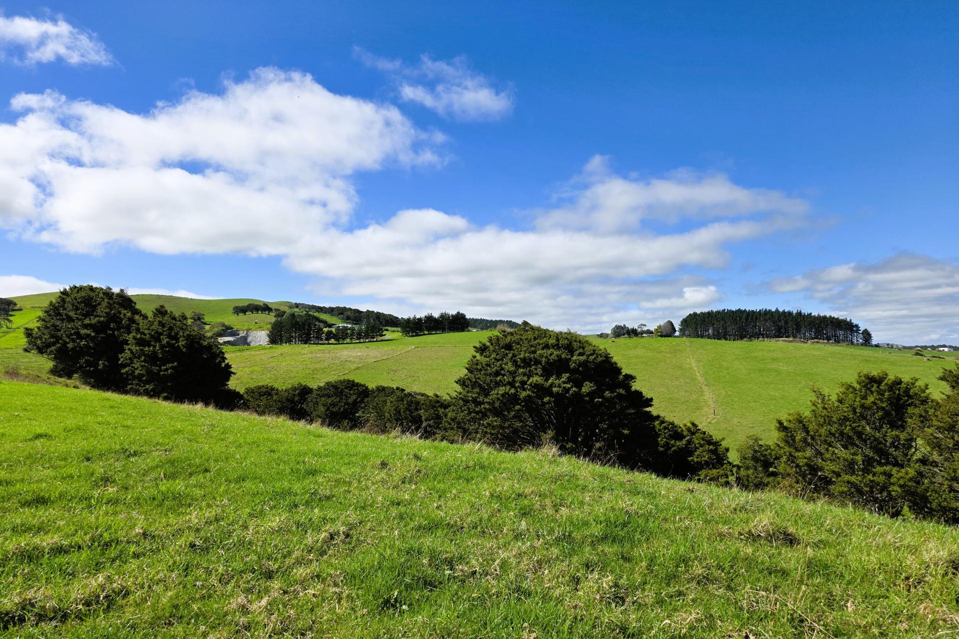 6320 State Highway 12, Dargaville