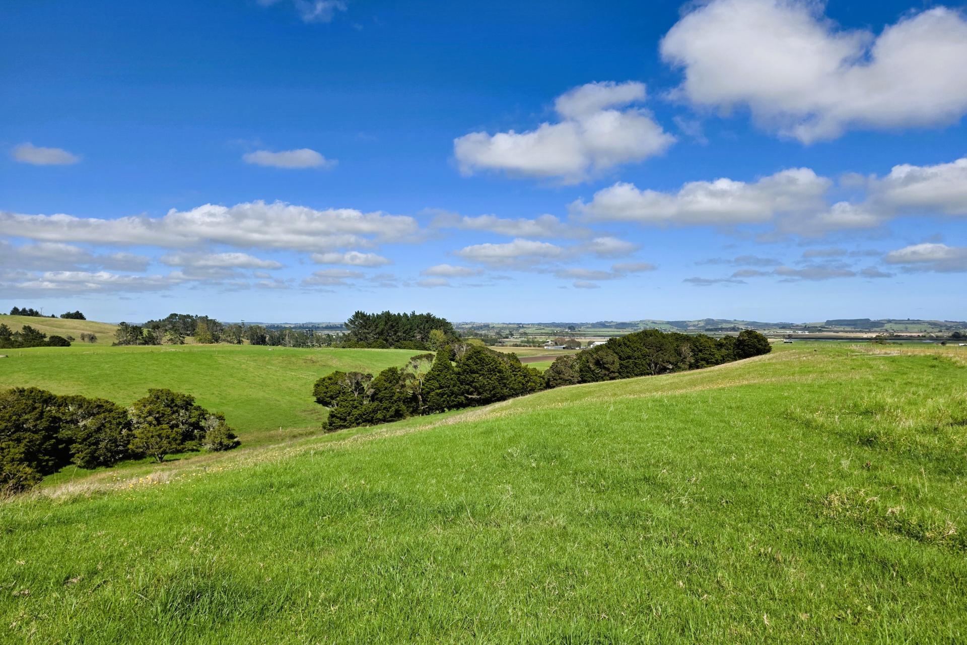 6320 State Highway 12, Dargaville