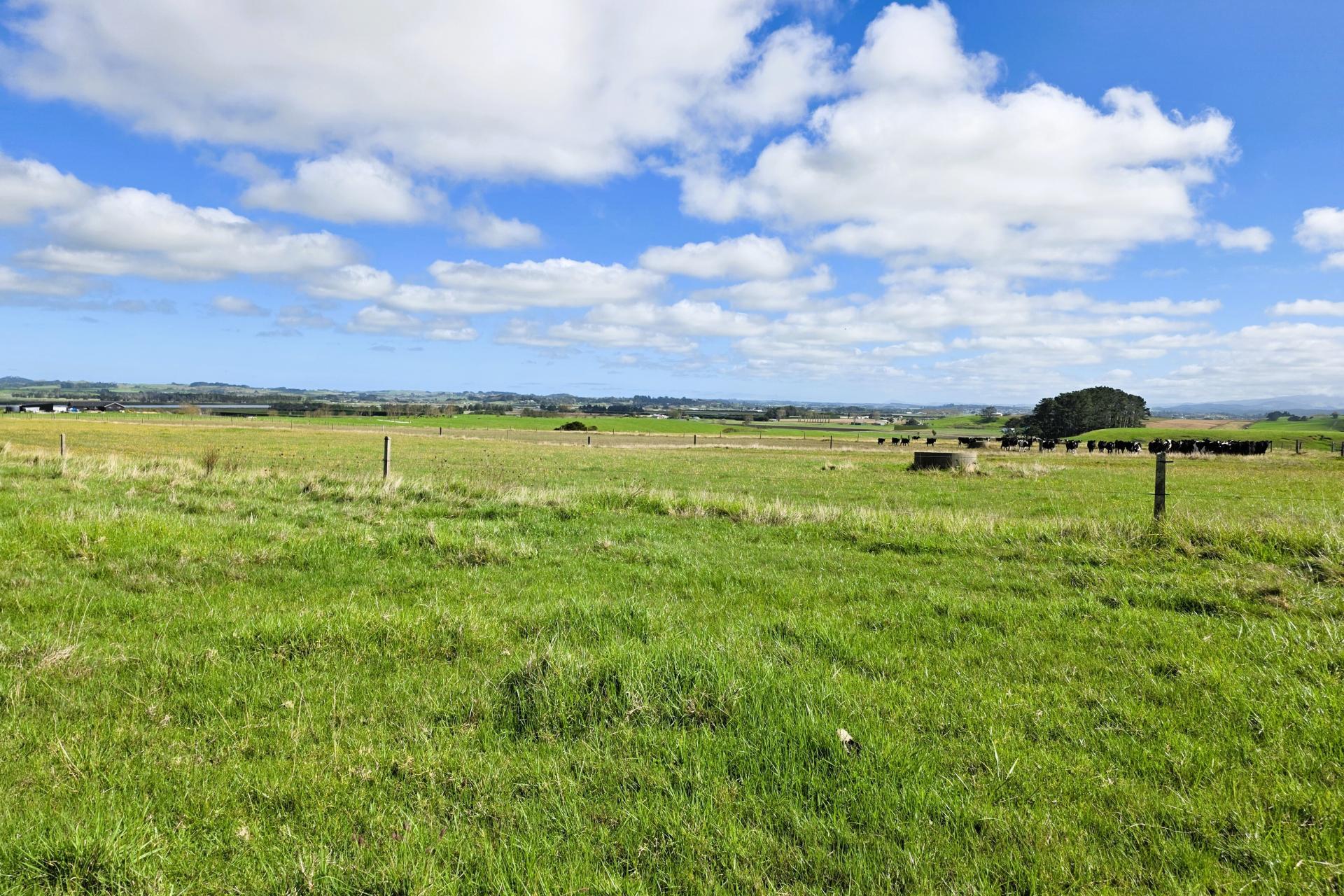 6320 State Highway 12, Dargaville