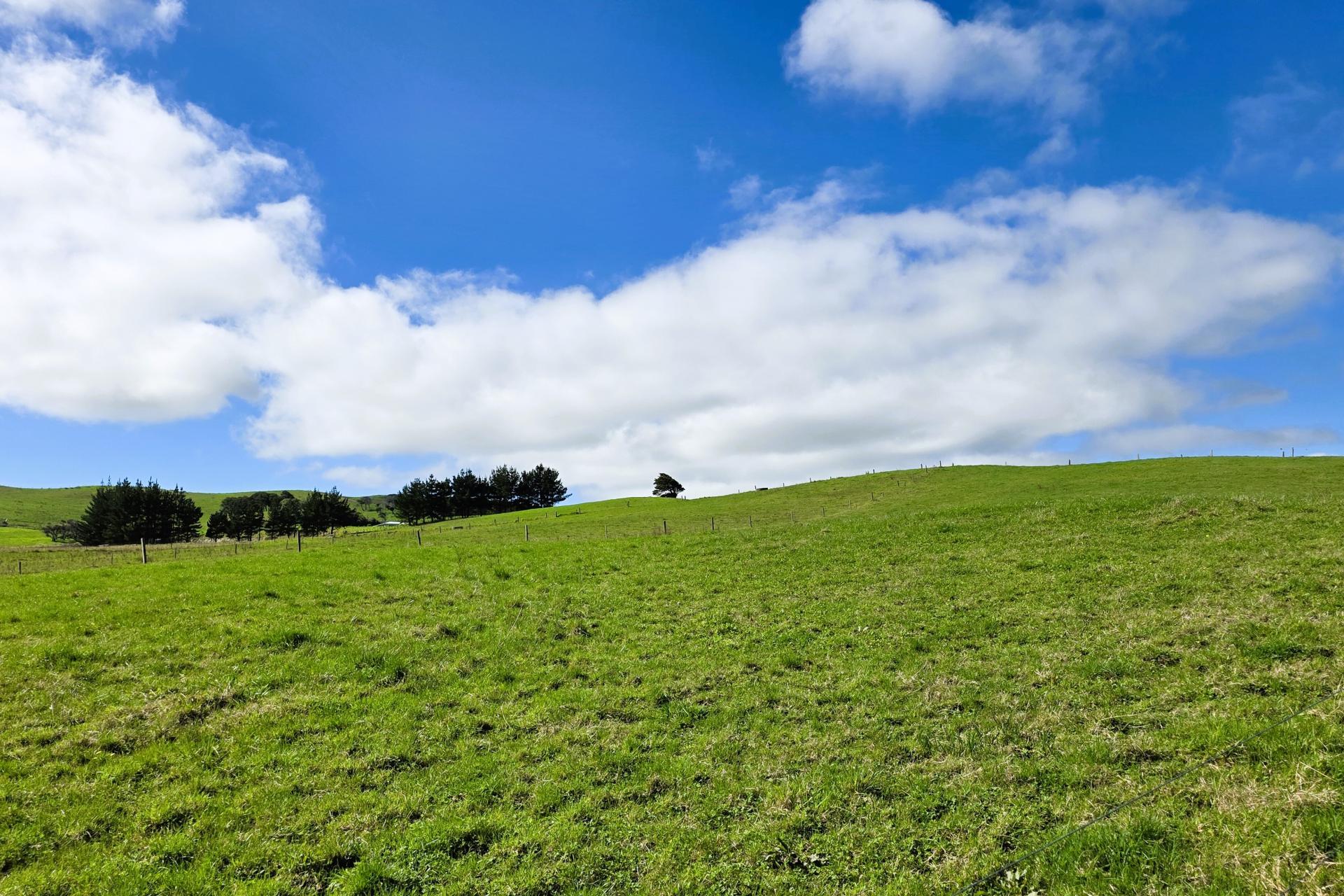 6320 State Highway 12, Dargaville