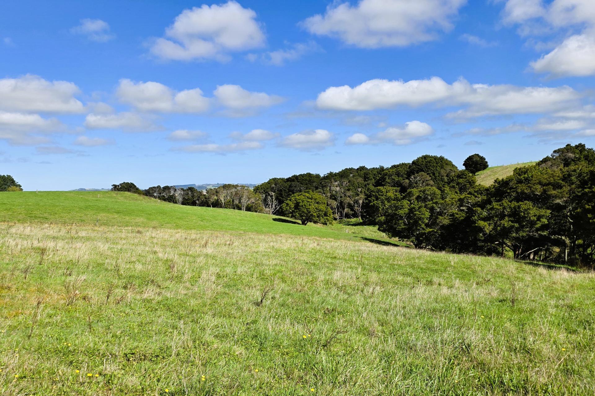 6320 State Highway 12, Dargaville