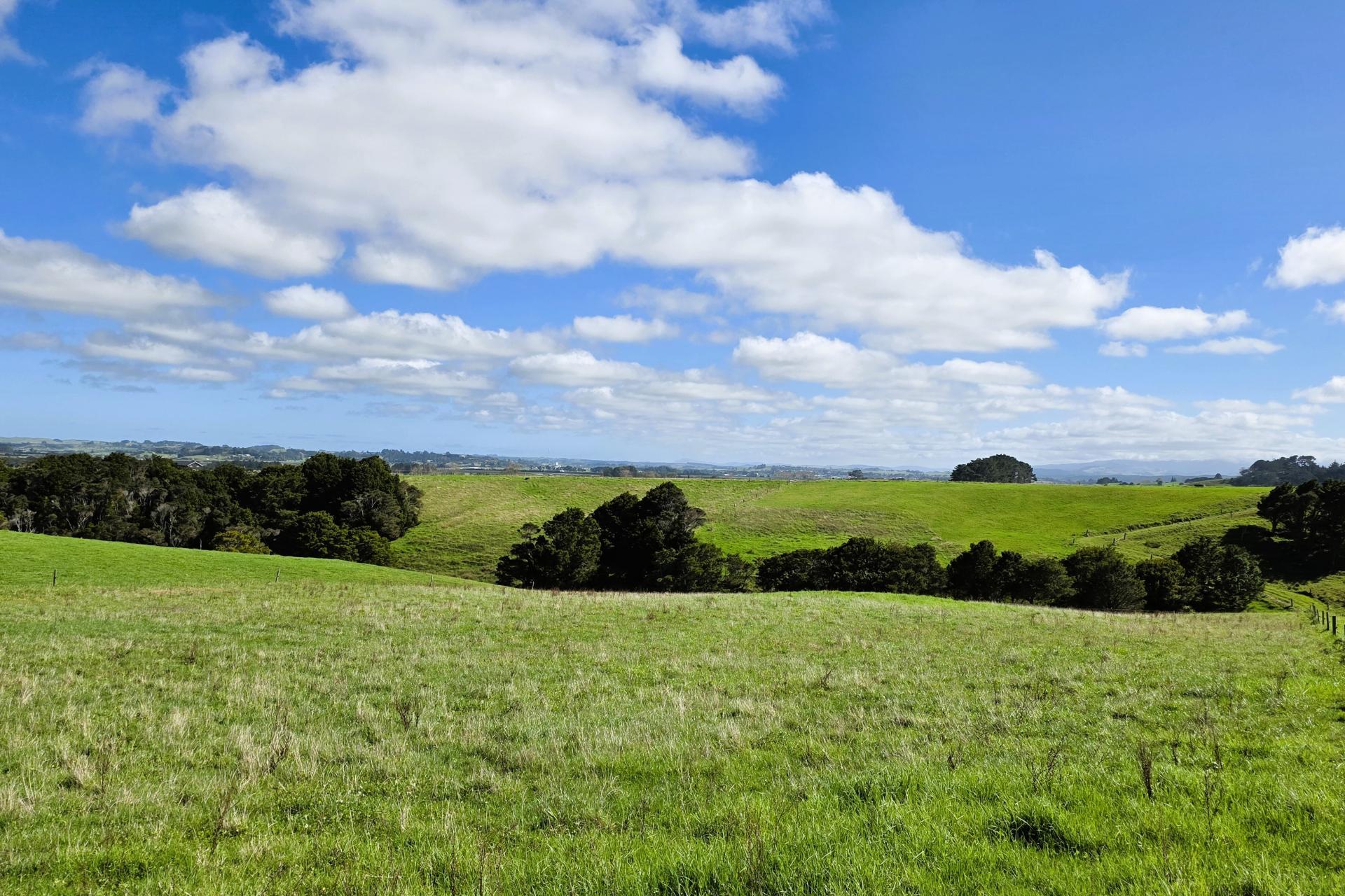 6320 State Highway 12, Dargaville