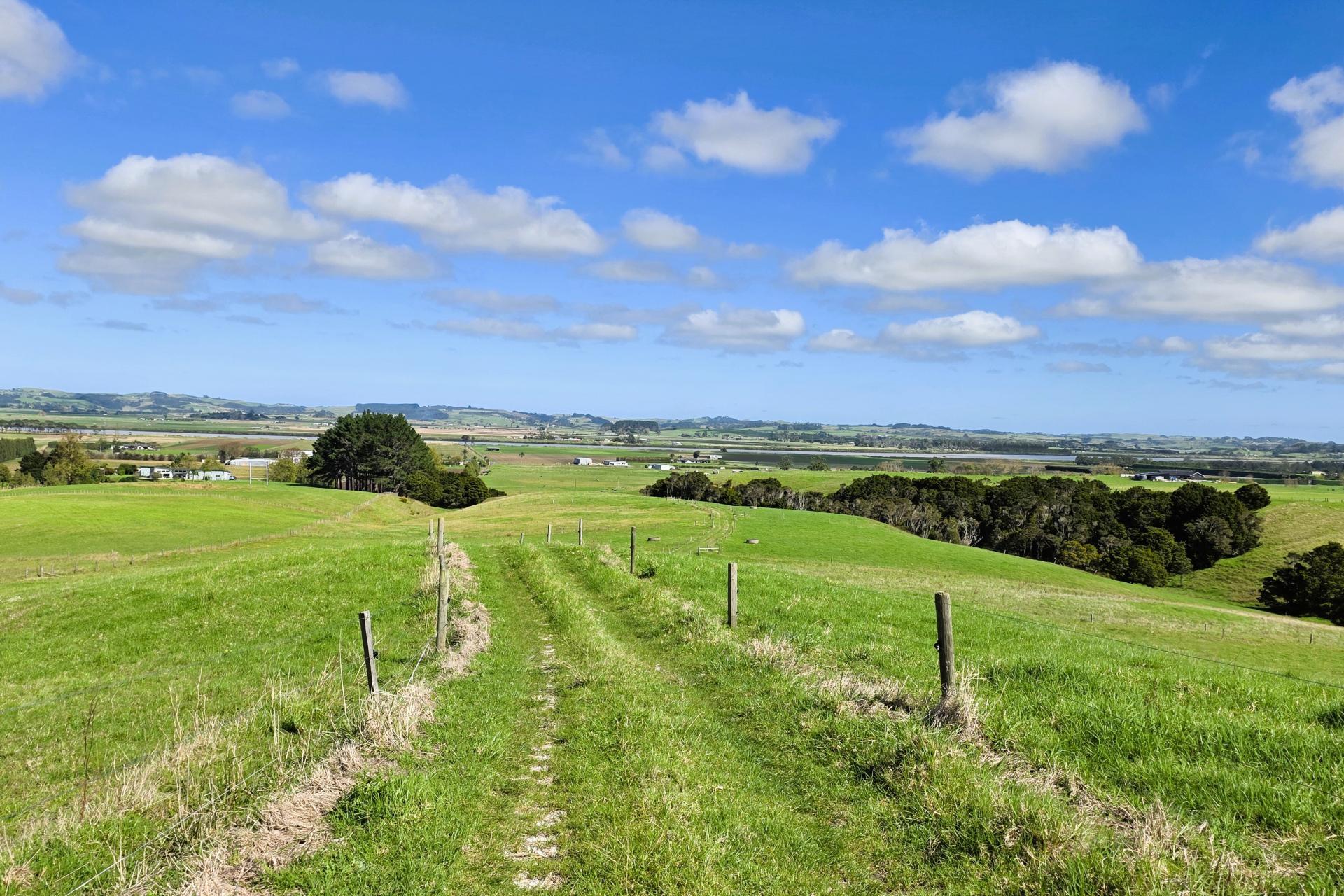 6320 State Highway 12, Dargaville