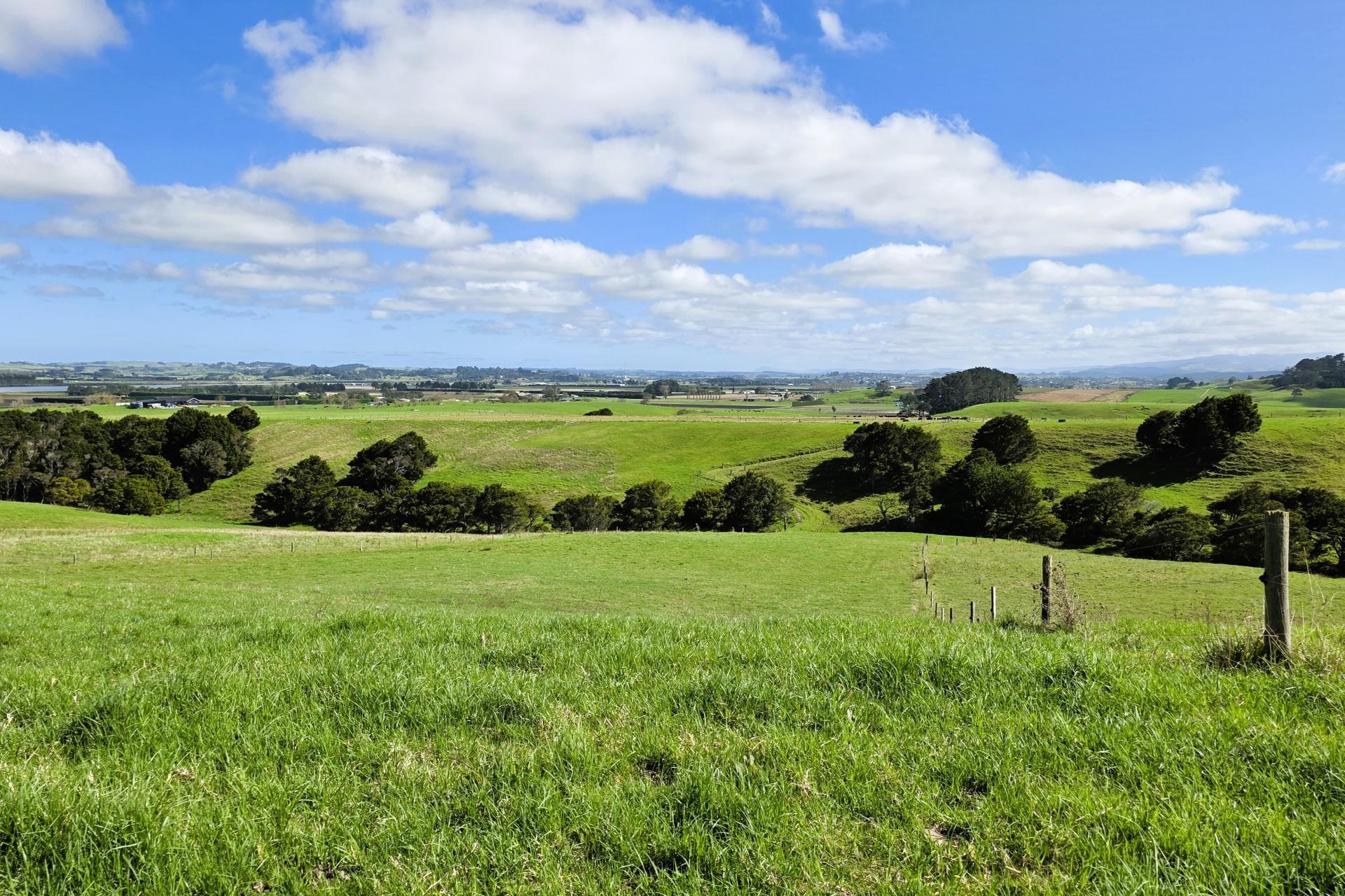 6320 State Highway 12, Dargaville
