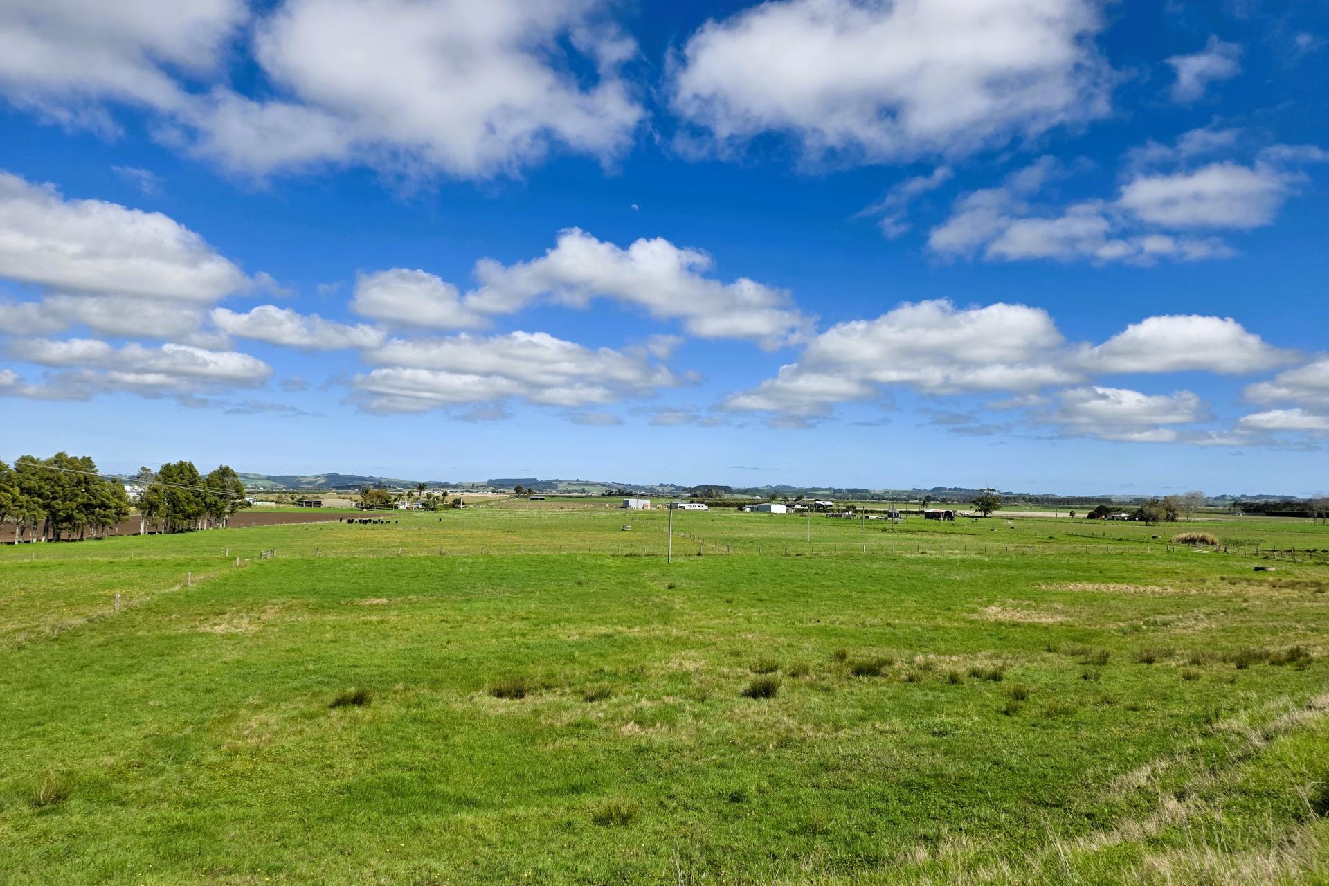6320 State Highway 12, Dargaville
