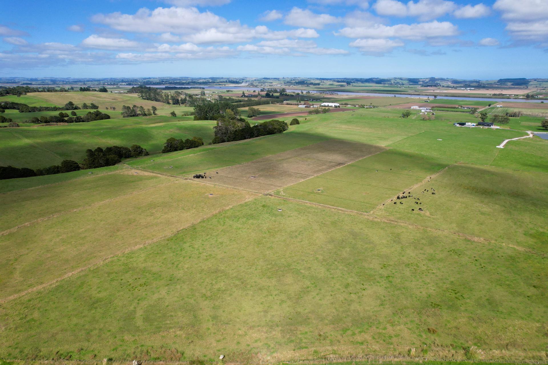 6320 State Highway 12, Dargaville