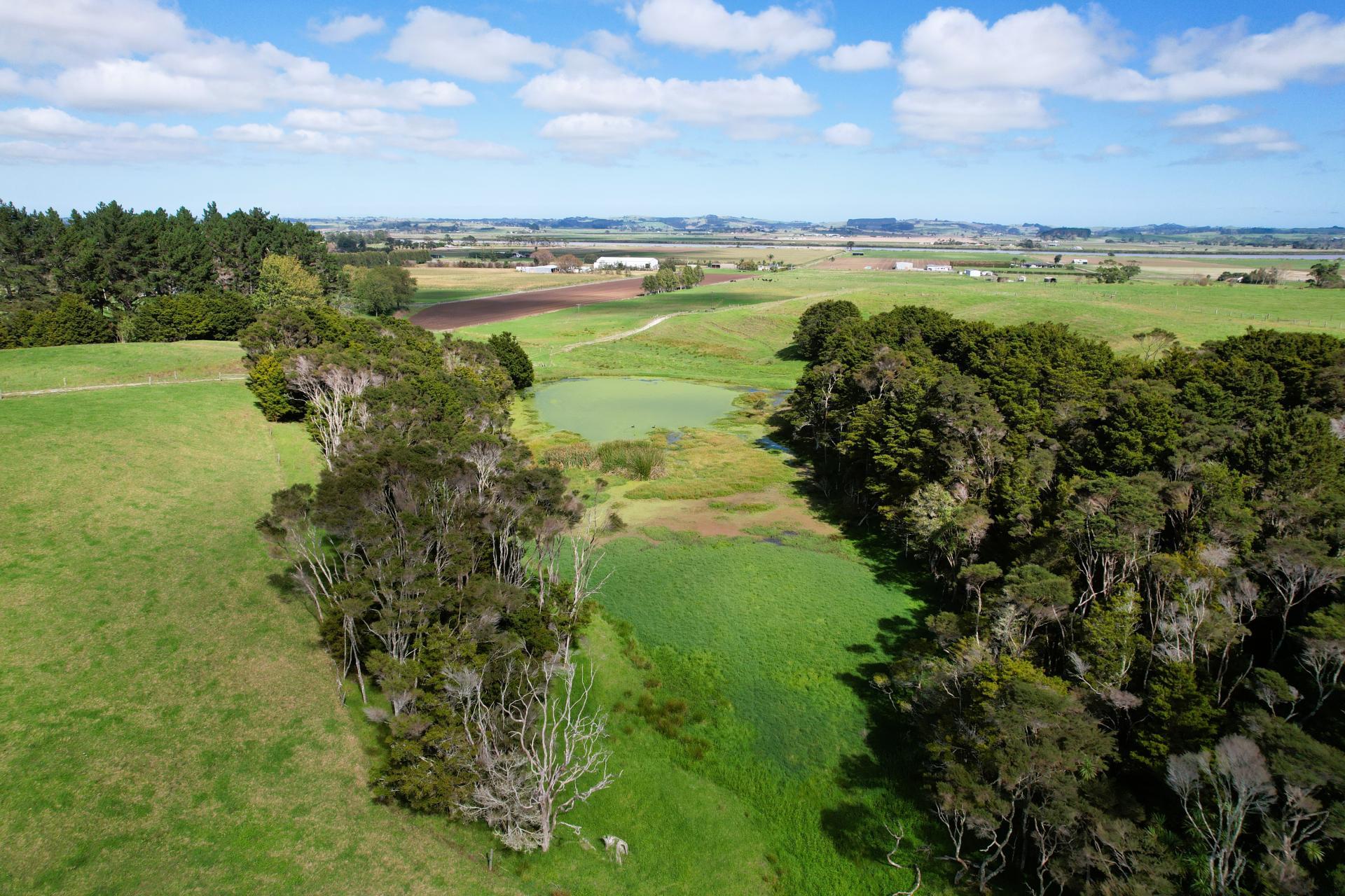 6320 State Highway 12, Dargaville
