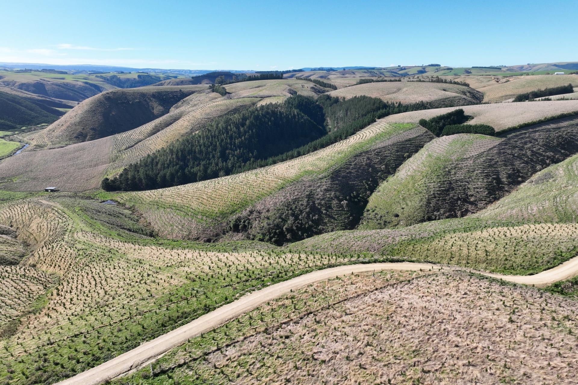 174 McCulloch Road, Awamangu