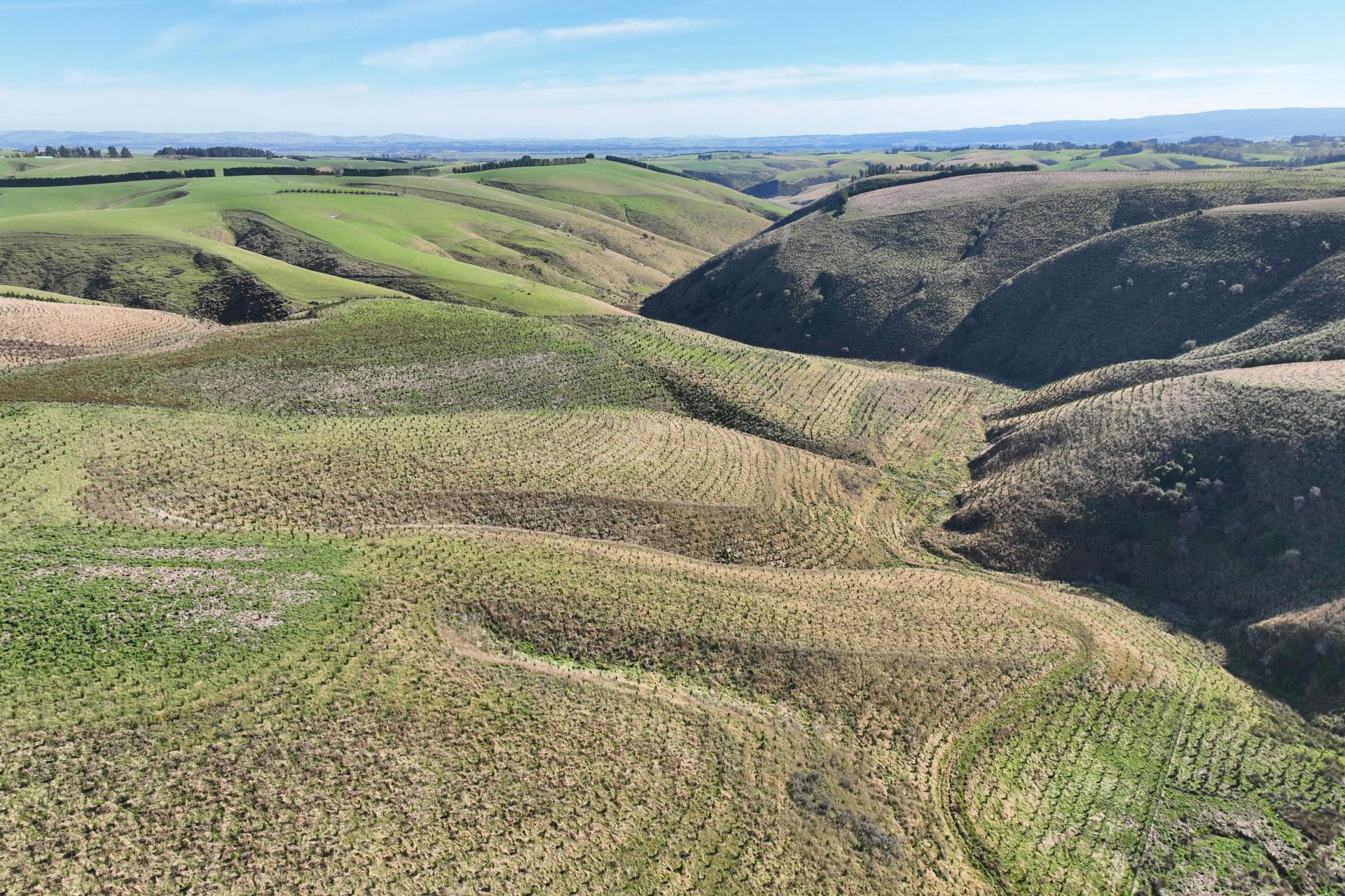 174 McCulloch Road, Awamangu