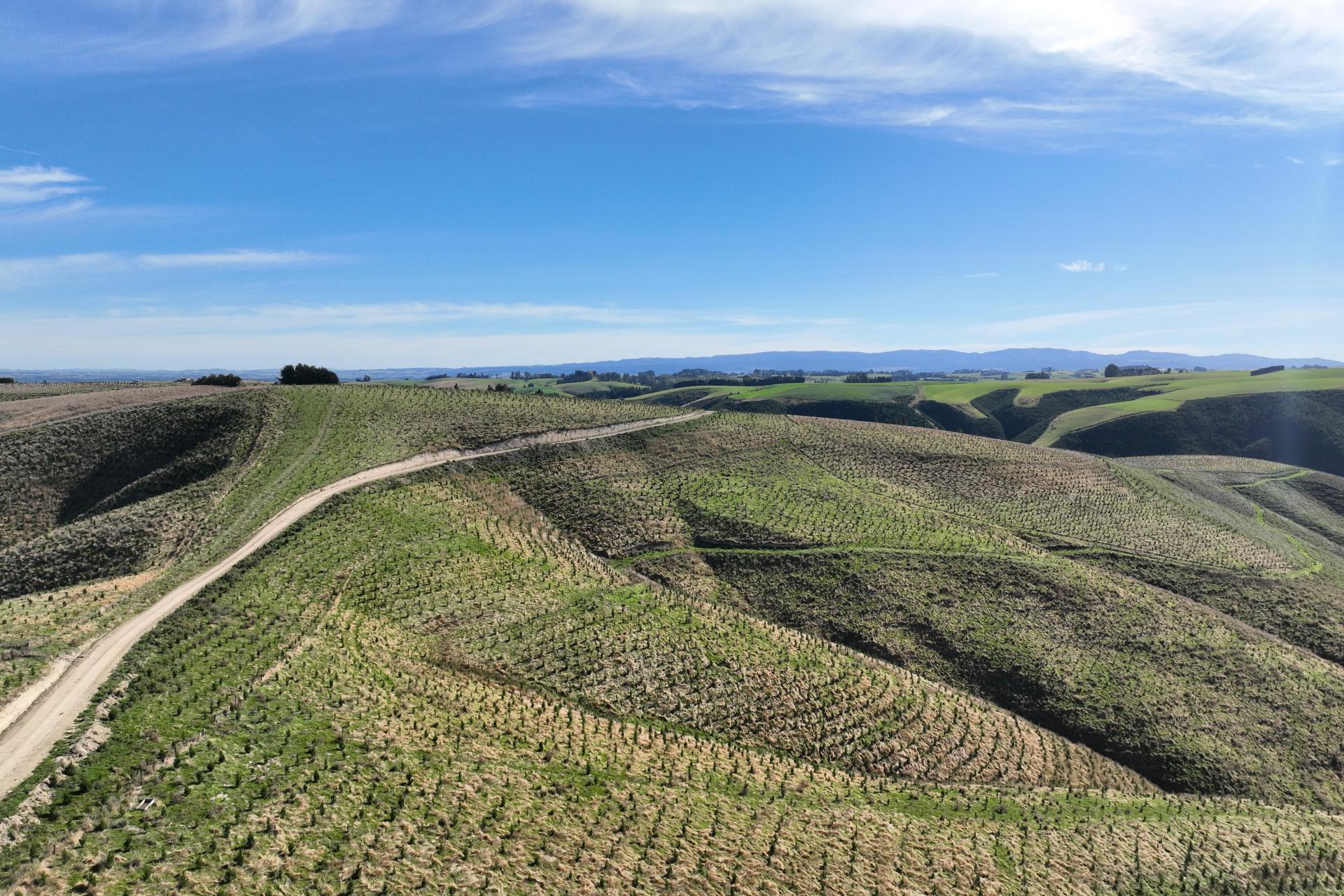 174 McCulloch Road, Awamangu