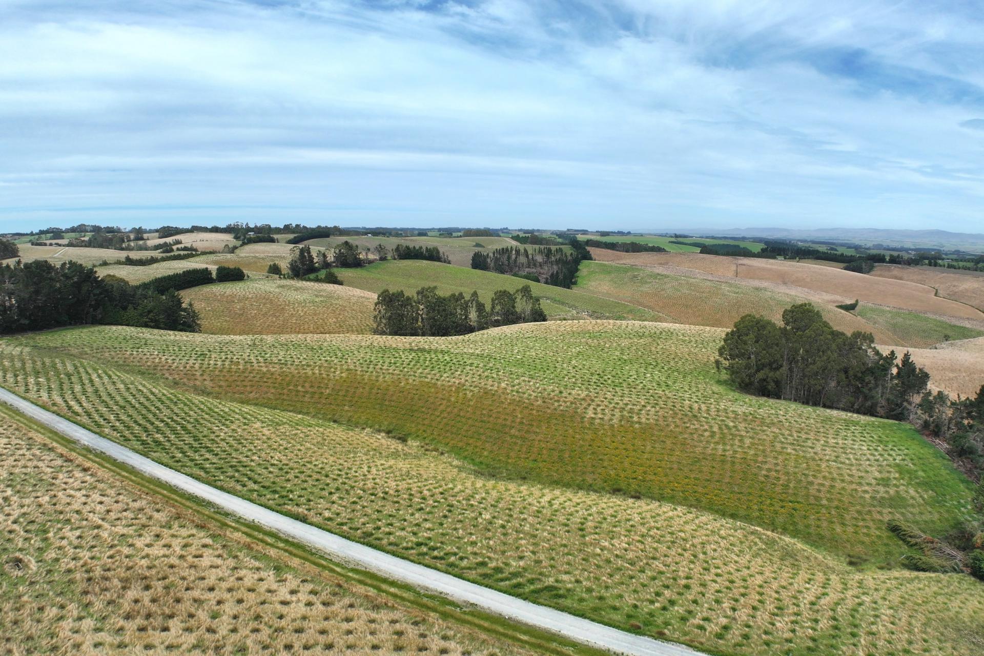 174 McCulloch Road, Awamangu