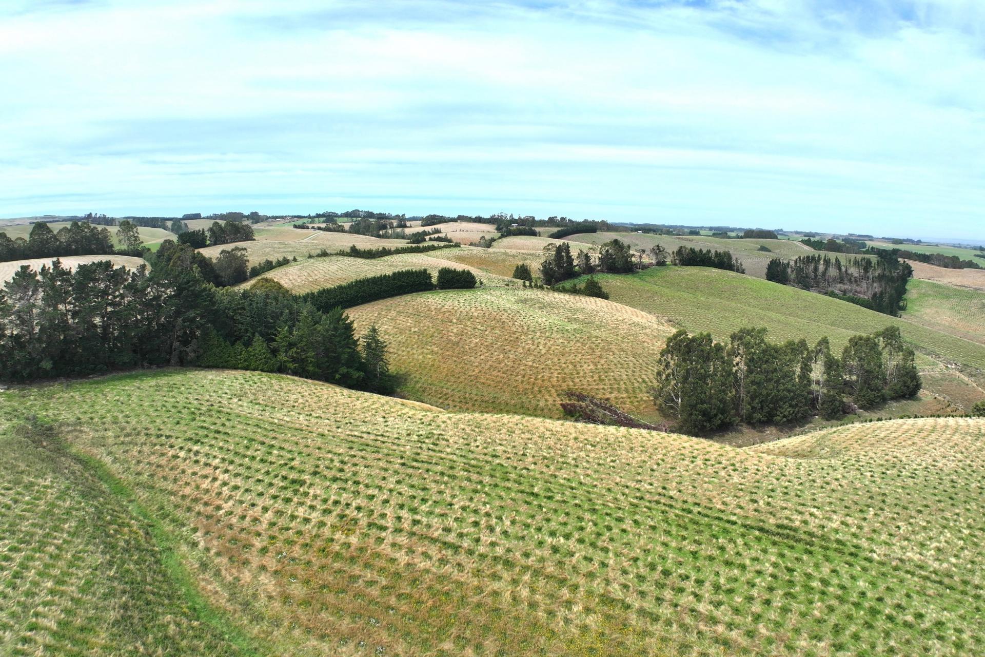 174 McCulloch Road, Awamangu