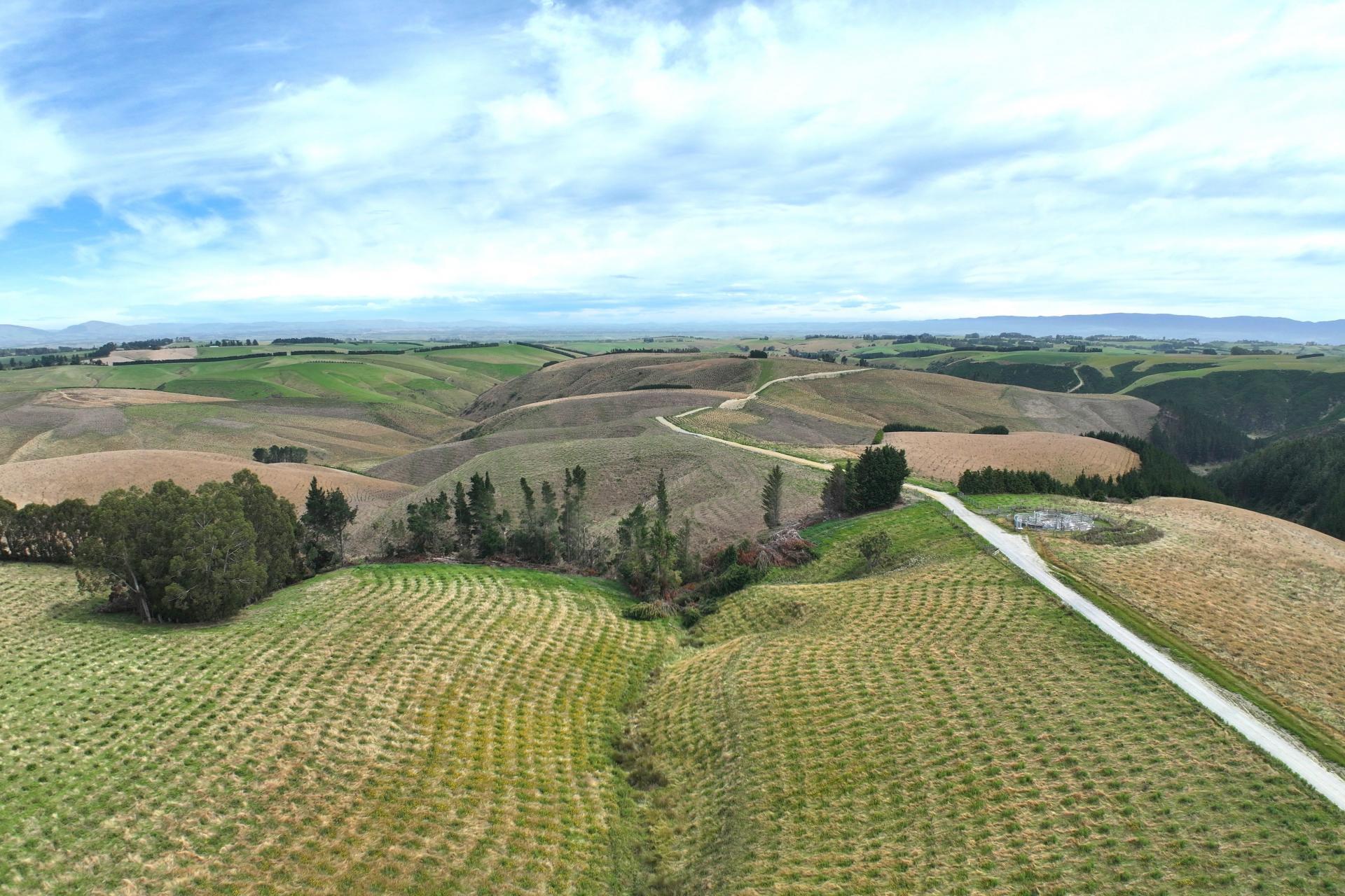 174 McCulloch Road, Awamangu