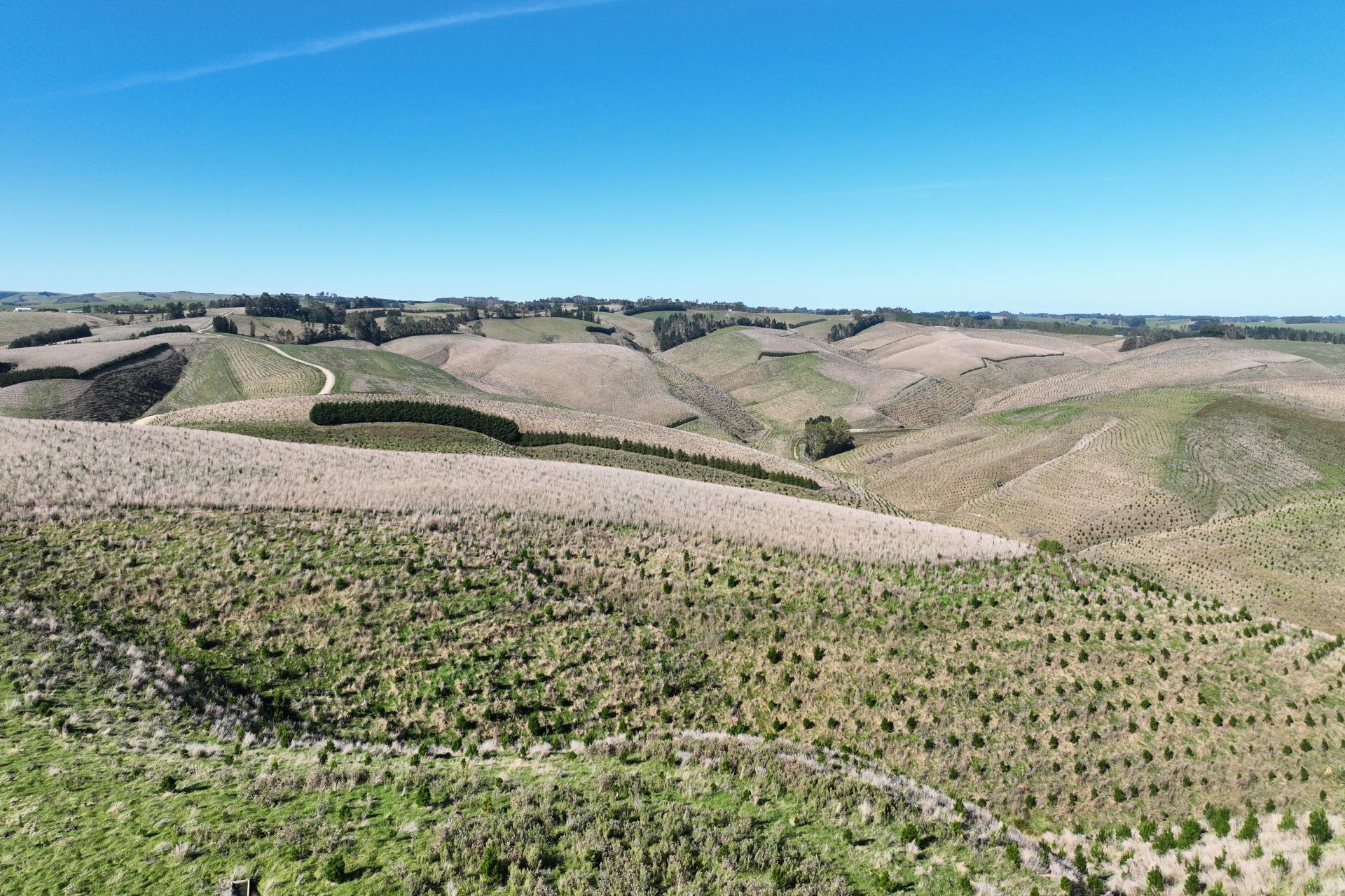 174 McCulloch Road, Awamangu