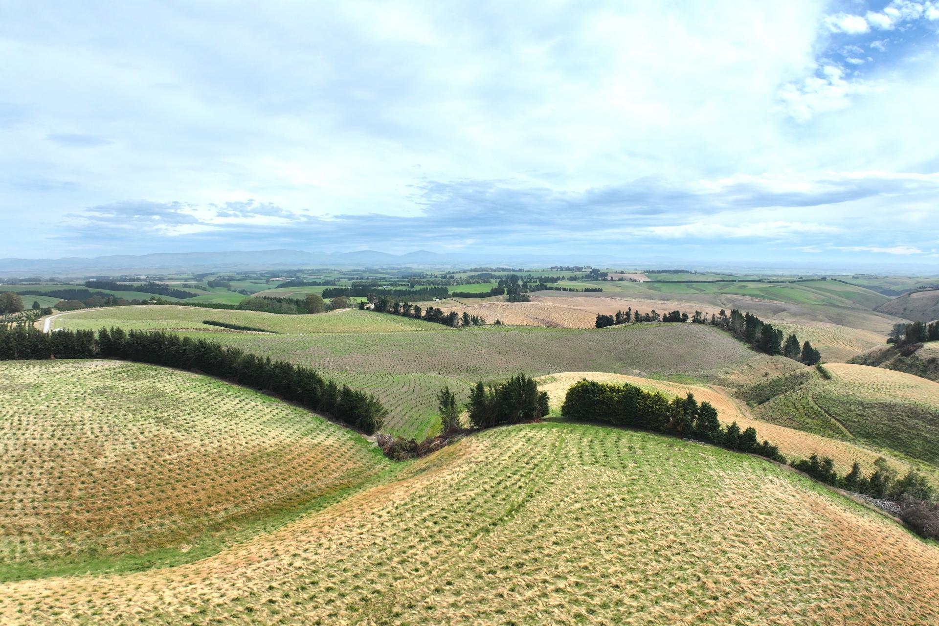 174 McCulloch Road, Awamangu