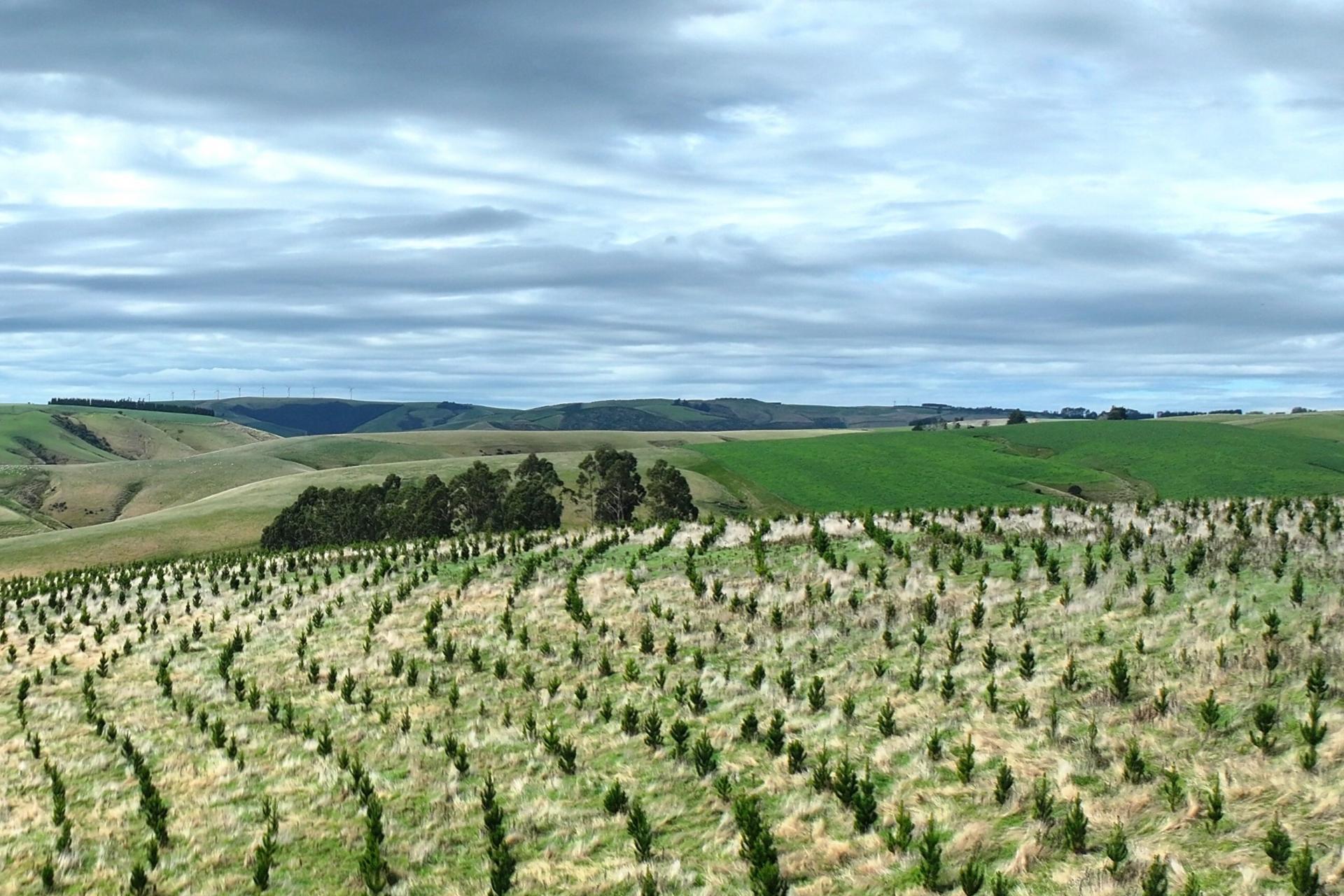 174 McCulloch Road, Awamangu