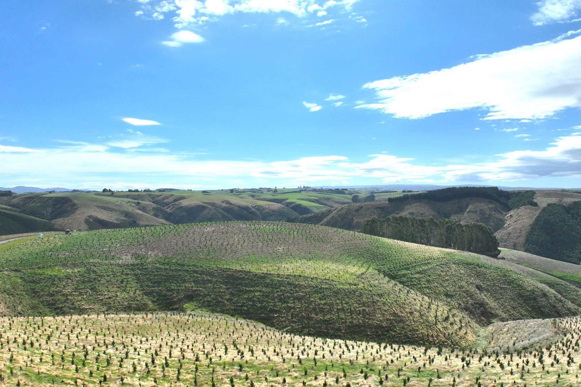 174 McCulloch Road, Awamangu