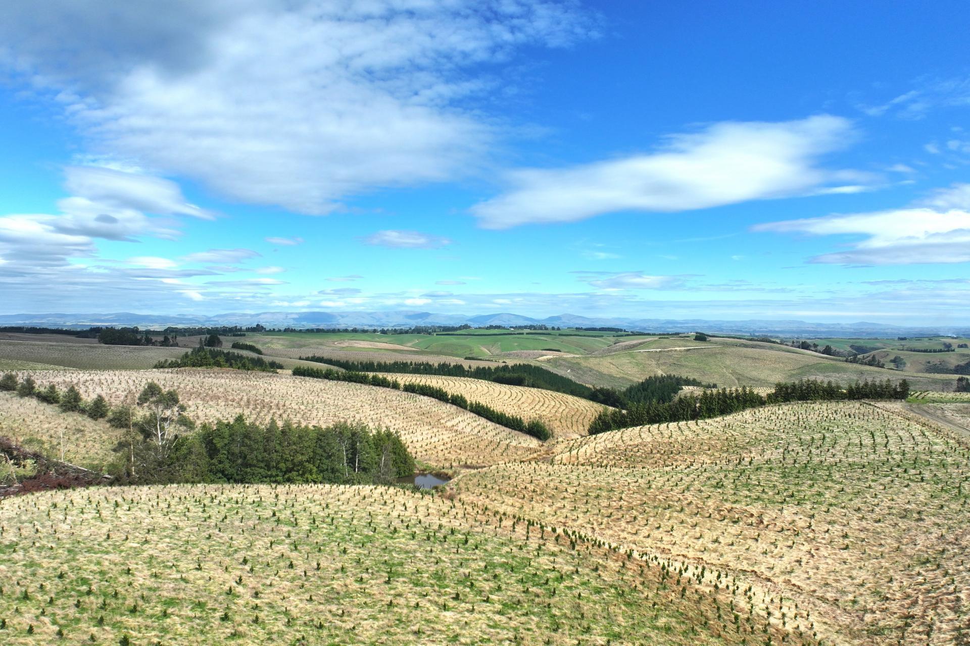 174 McCulloch Road, Awamangu