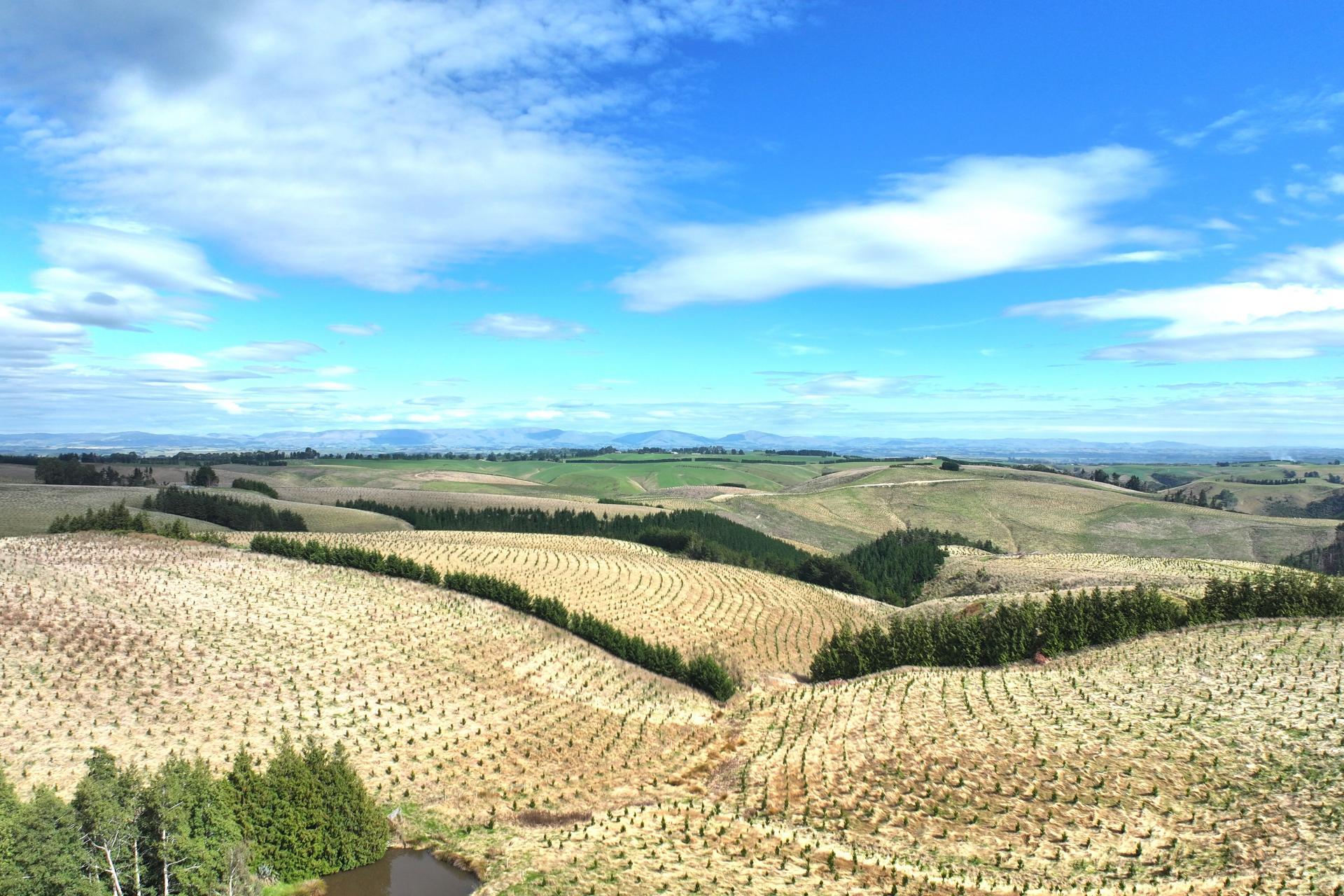 174 McCulloch Road, Awamangu