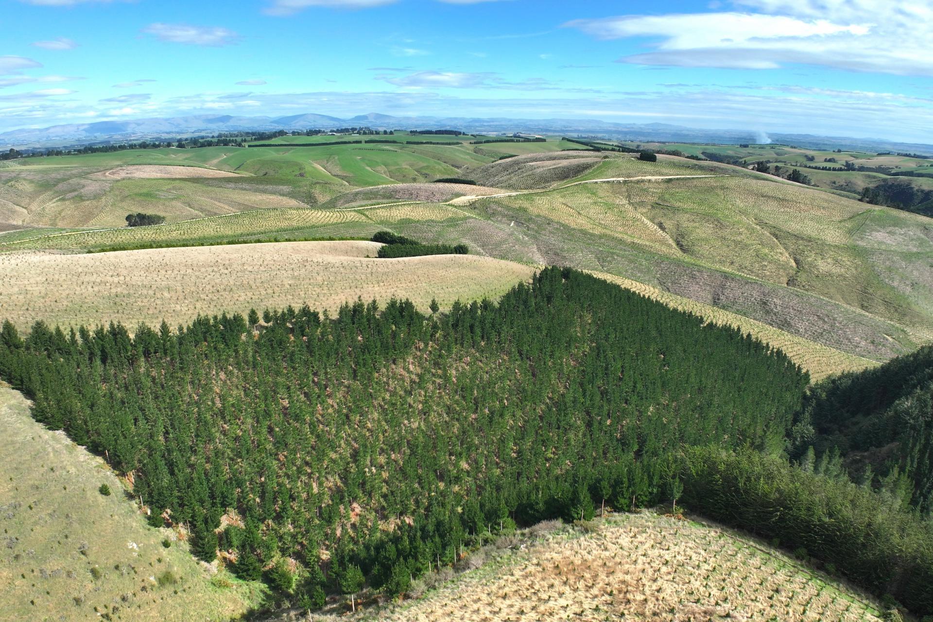 174 McCulloch Road, Awamangu