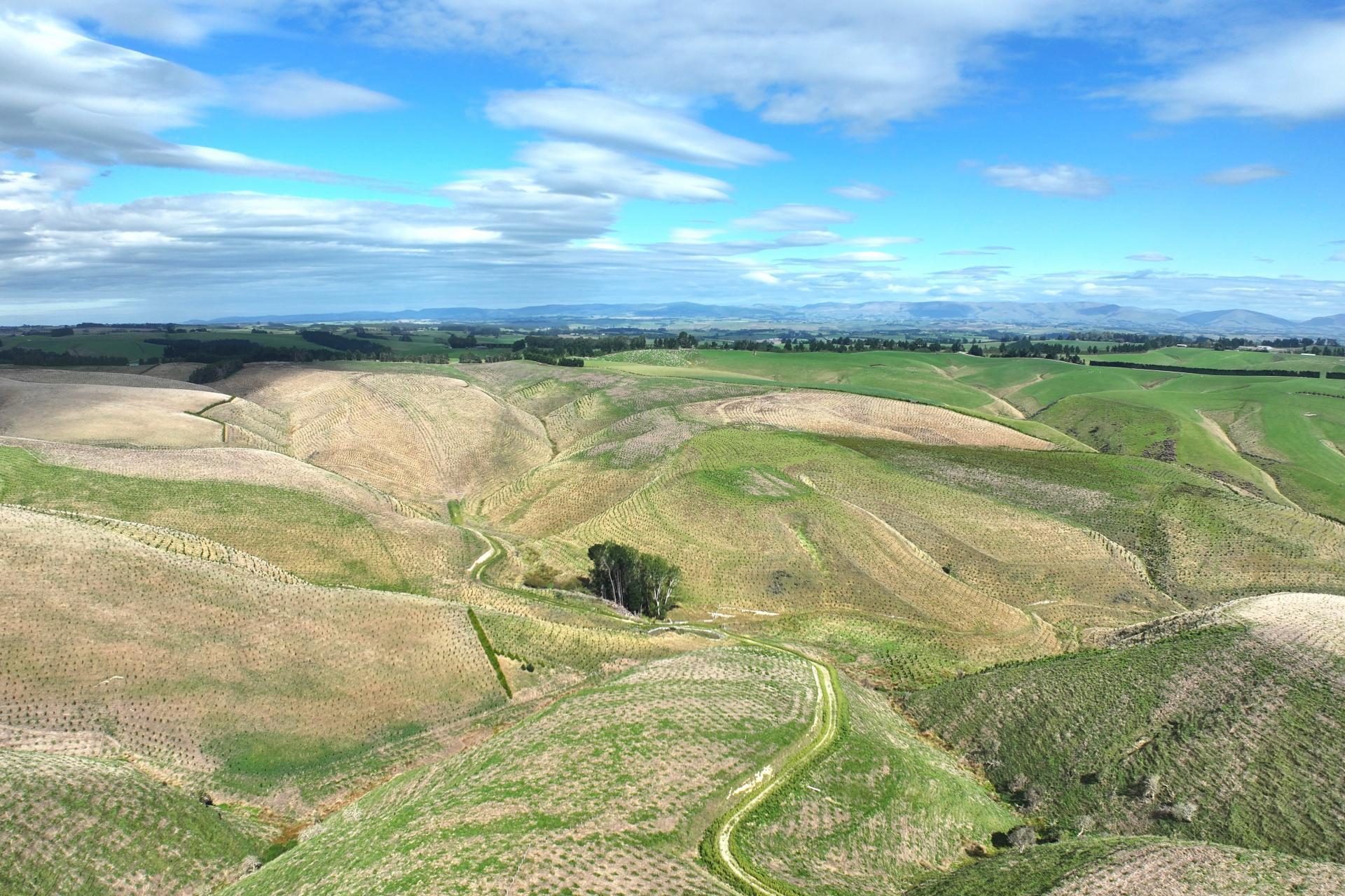 174 McCulloch Road, Awamangu