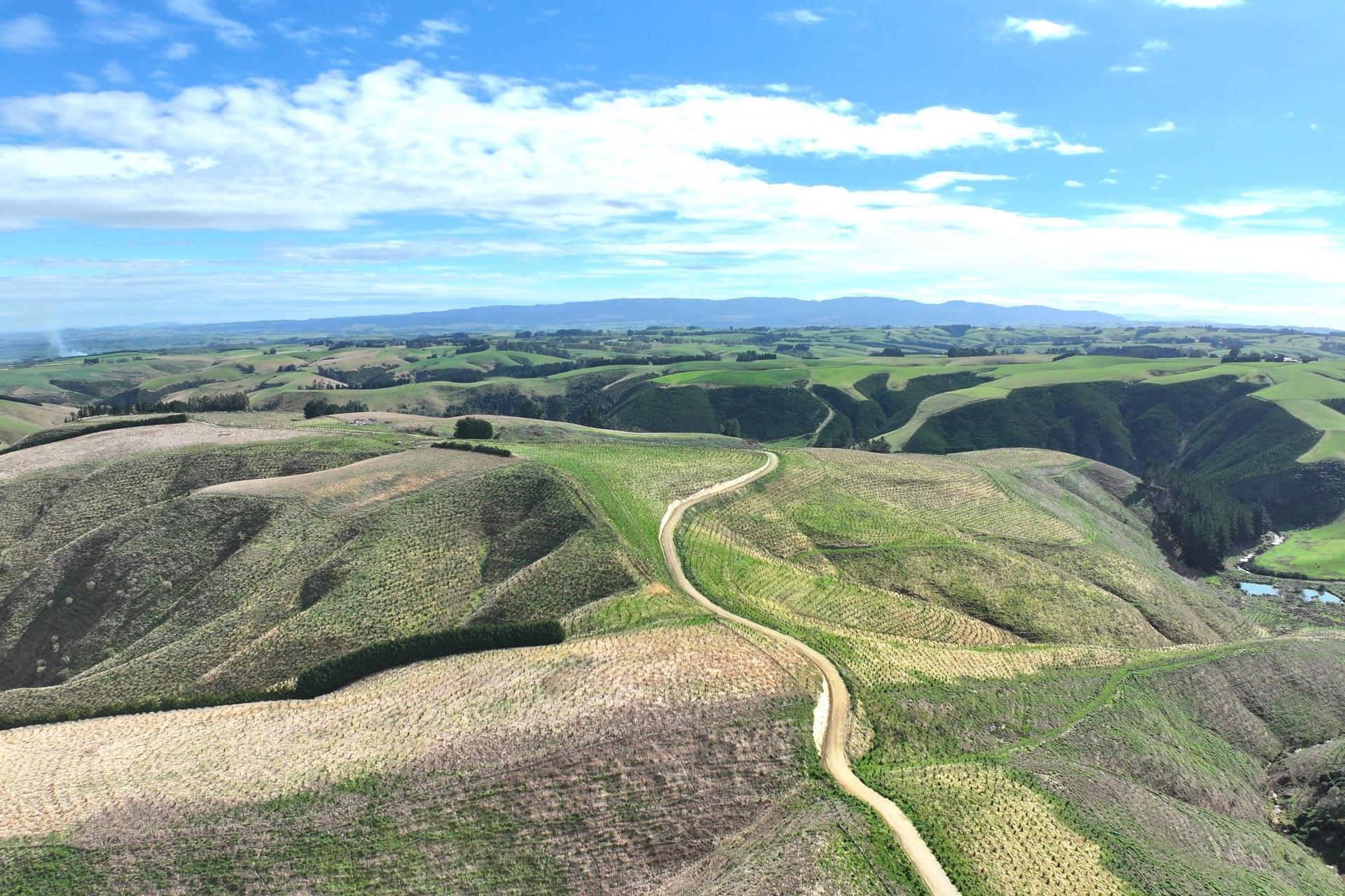 174 McCulloch Road, Awamangu