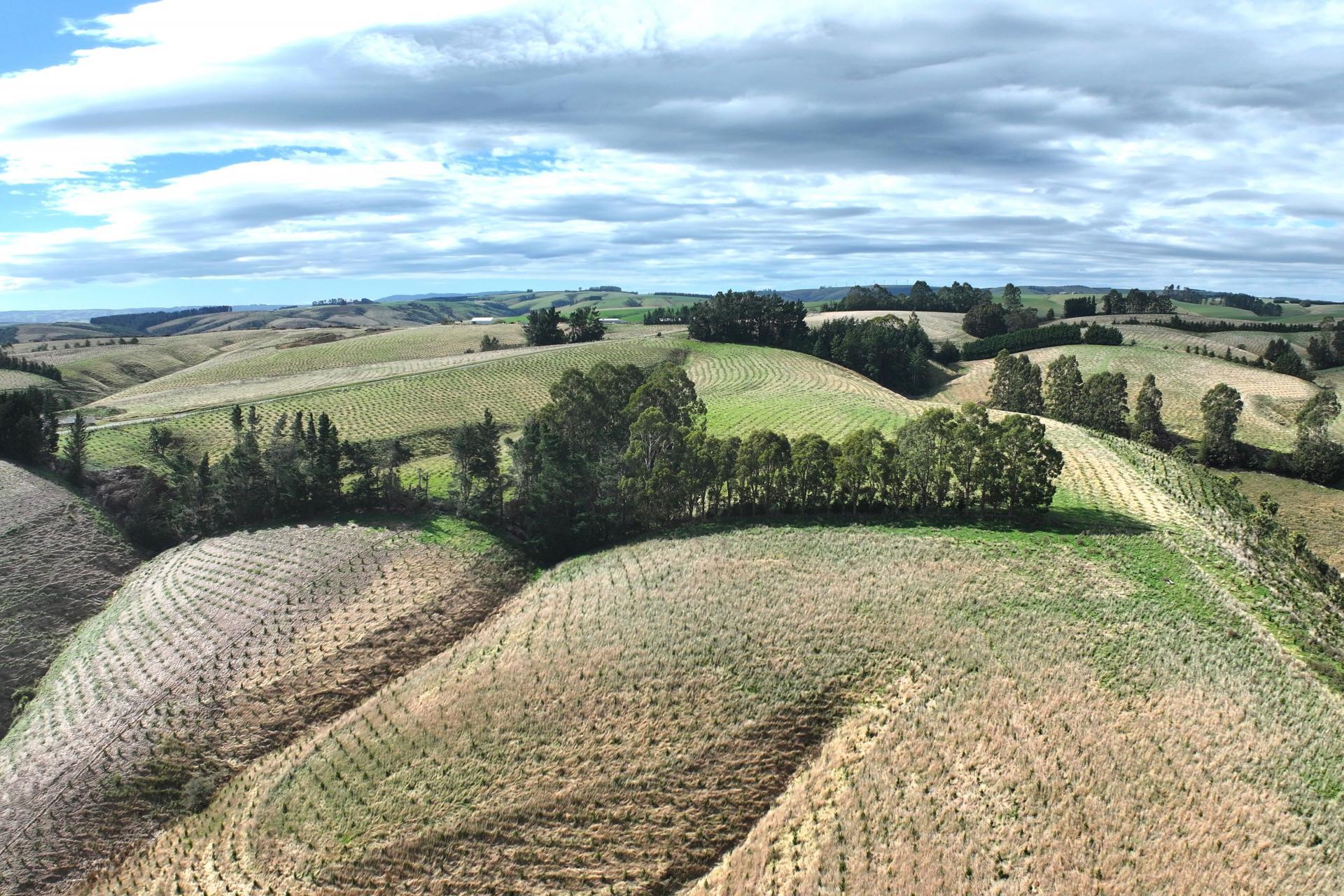 174 McCulloch Road, Awamangu