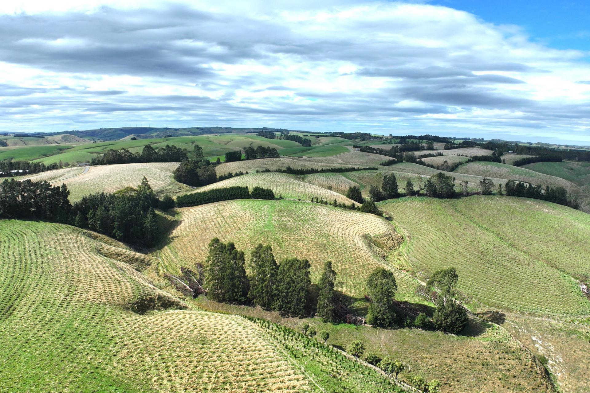 174 McCulloch Road, Awamangu