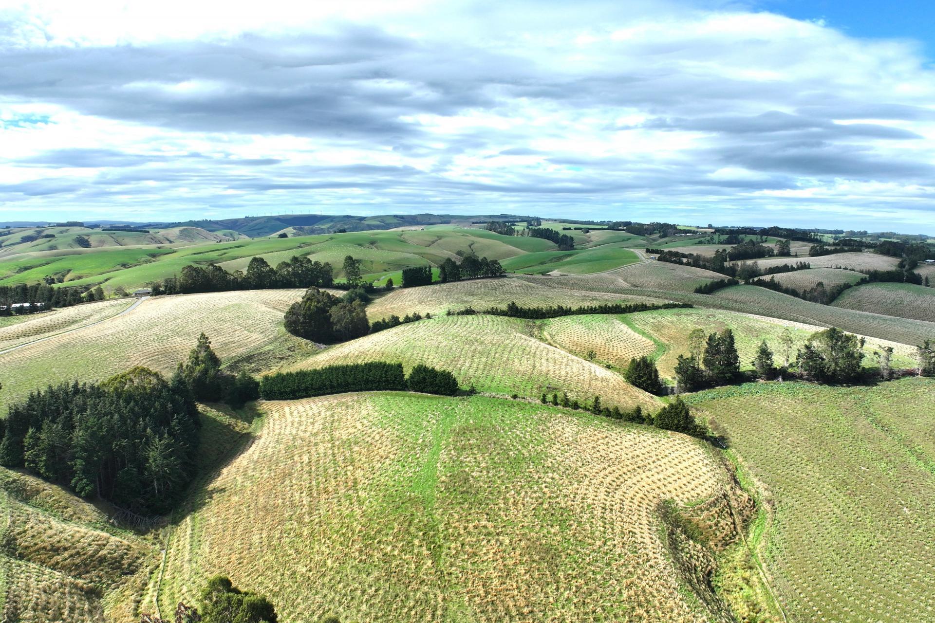 174 McCulloch Road, Awamangu