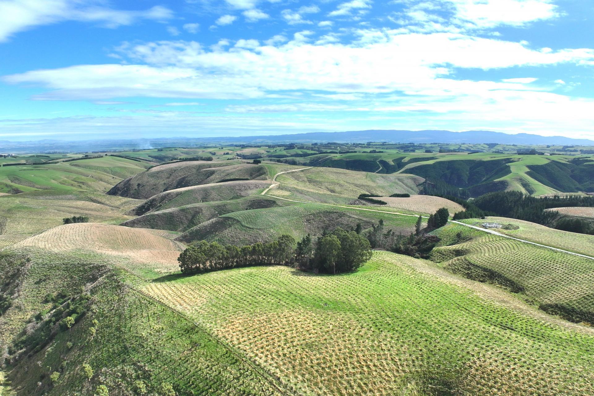 174 McCulloch Road, Awamangu