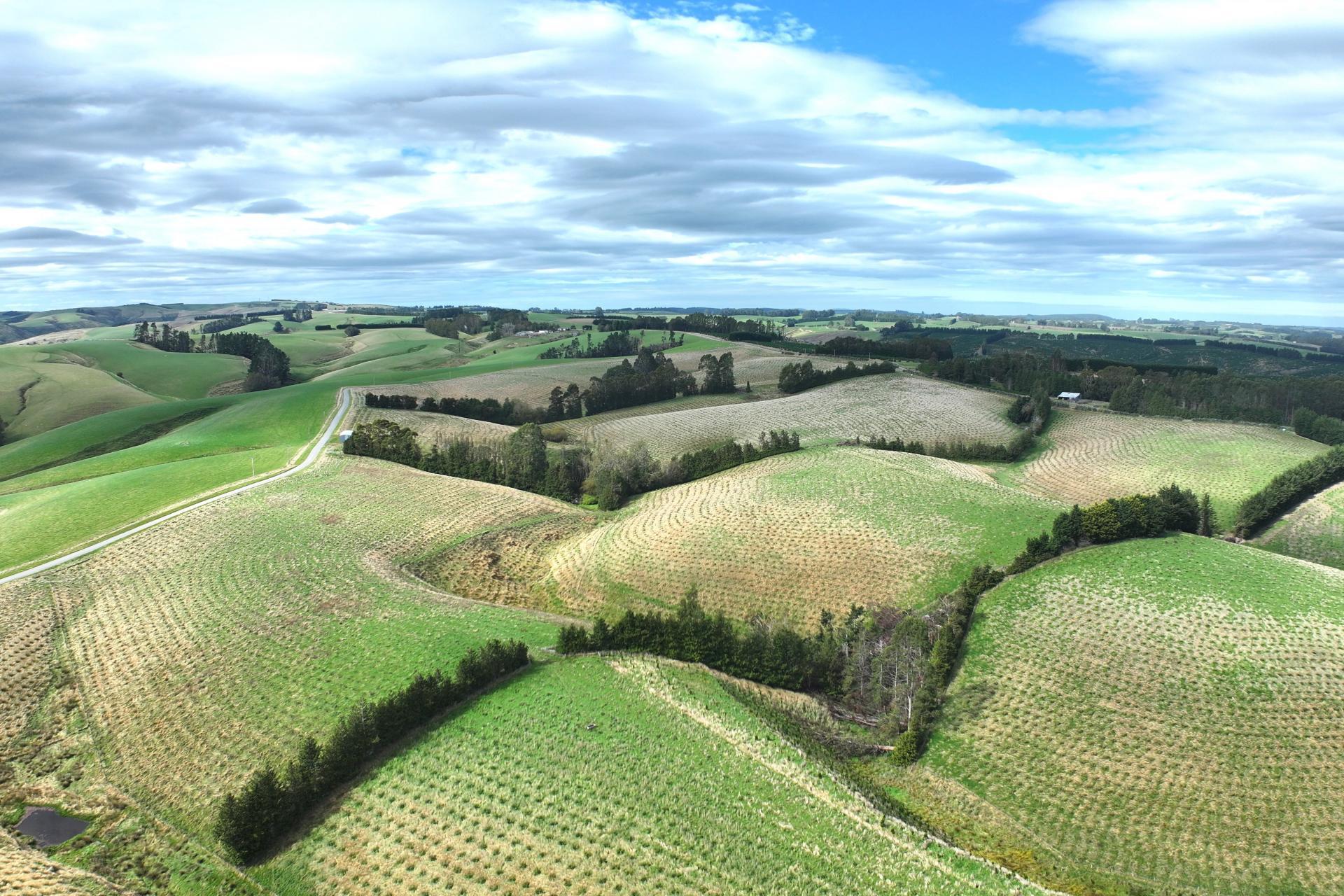 174 McCulloch Road, Awamangu