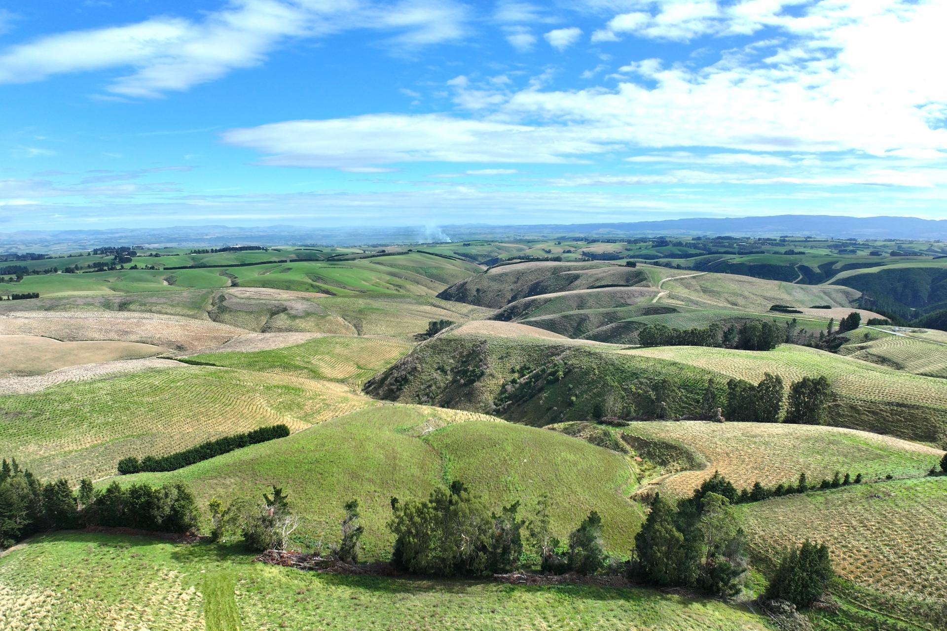 174 McCulloch Road, Awamangu