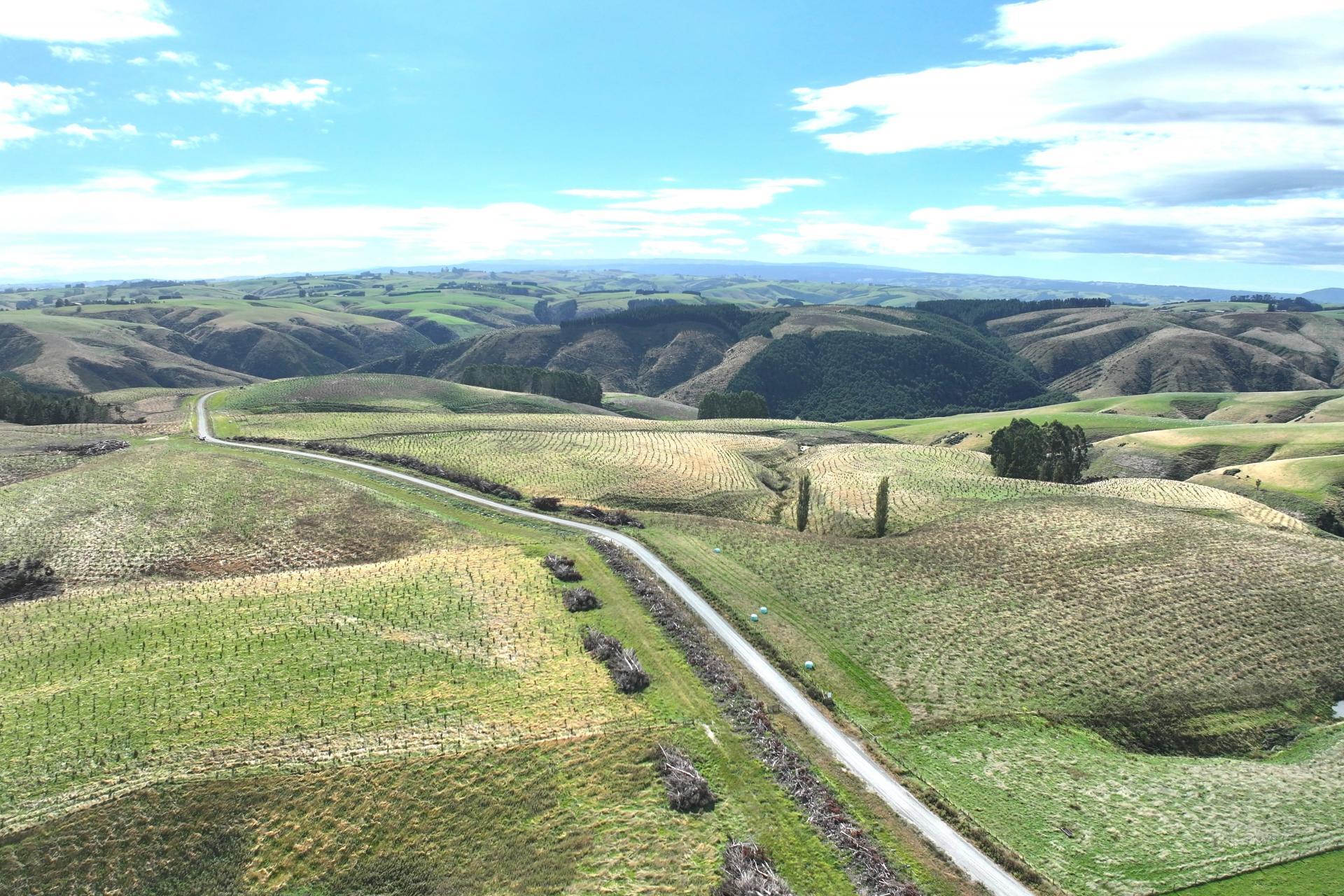 174 McCulloch Road, Awamangu