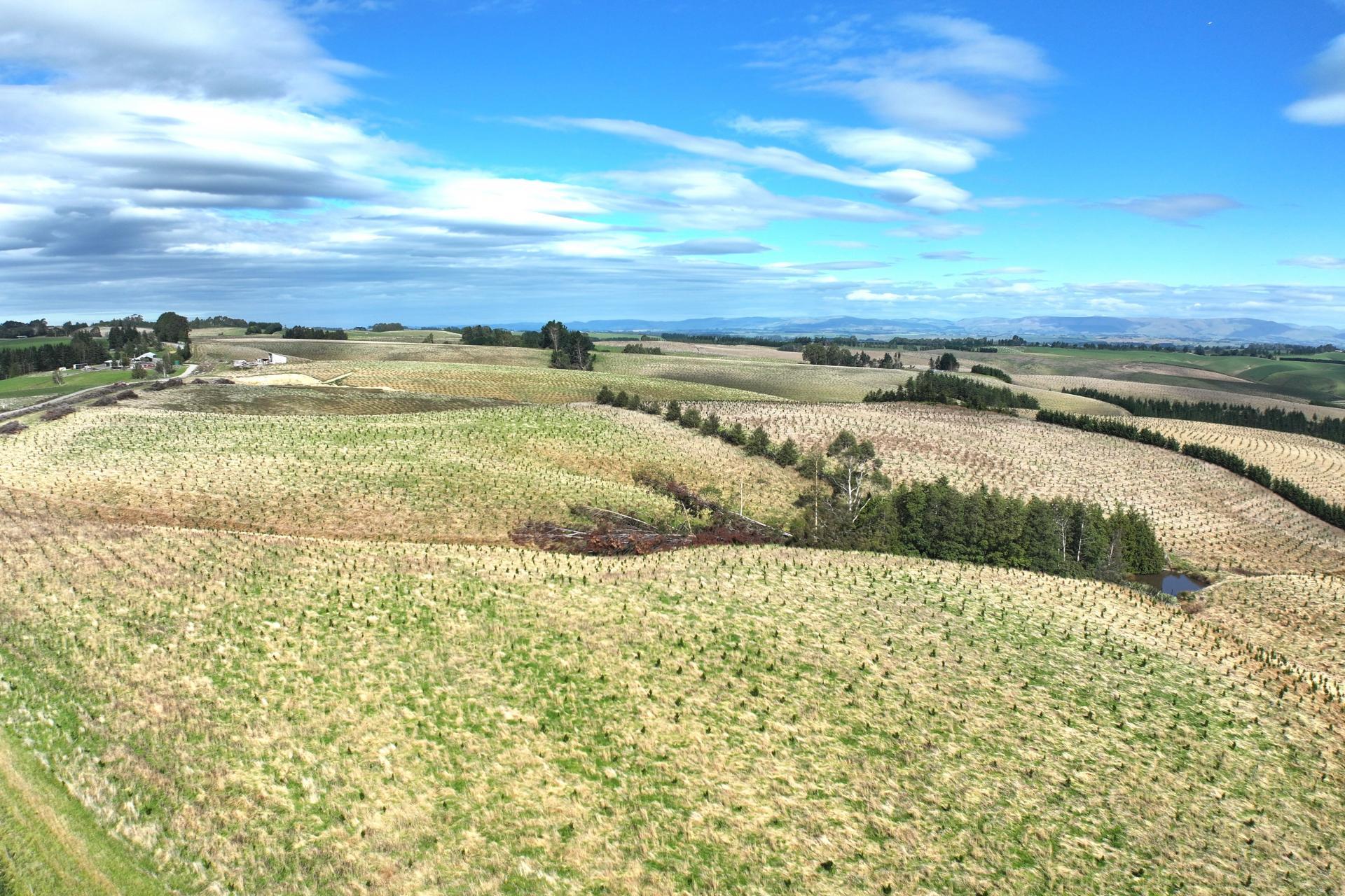174 McCulloch Road, Awamangu