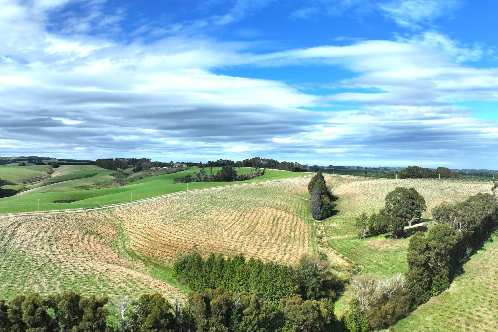 174 McCulloch Road, Awamangu